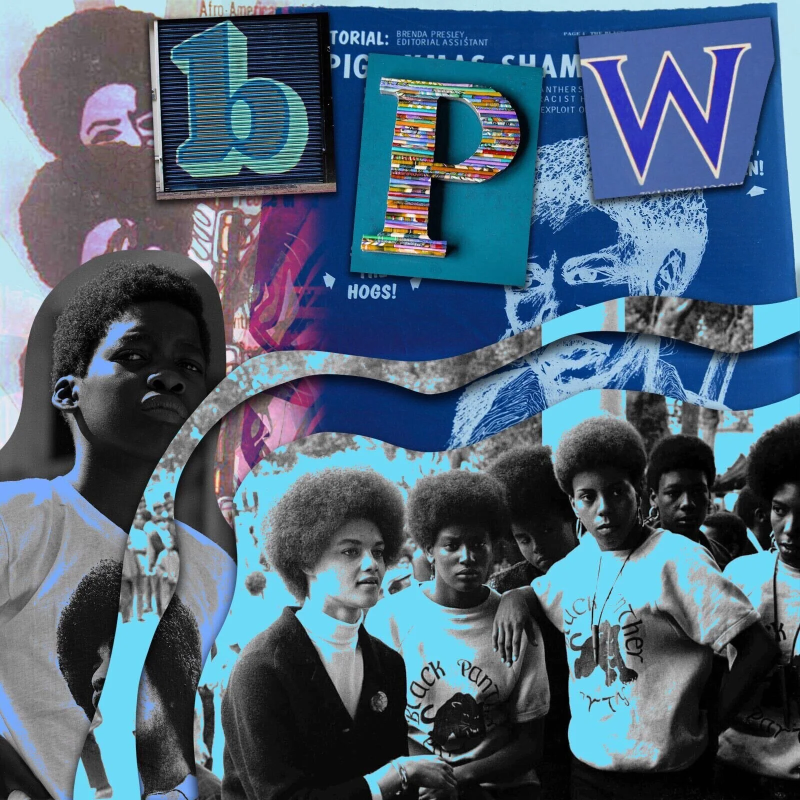 The Her-Story of the Black Panther Party: How Panther Women Shaped the Revolution