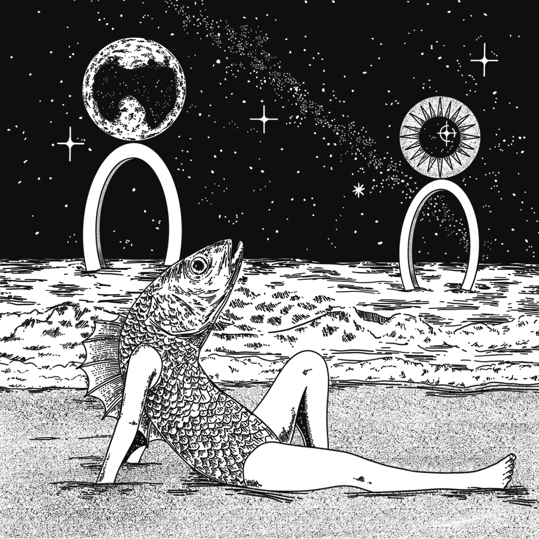 NICK POTTS (George Harrison - Fish on the Sand)