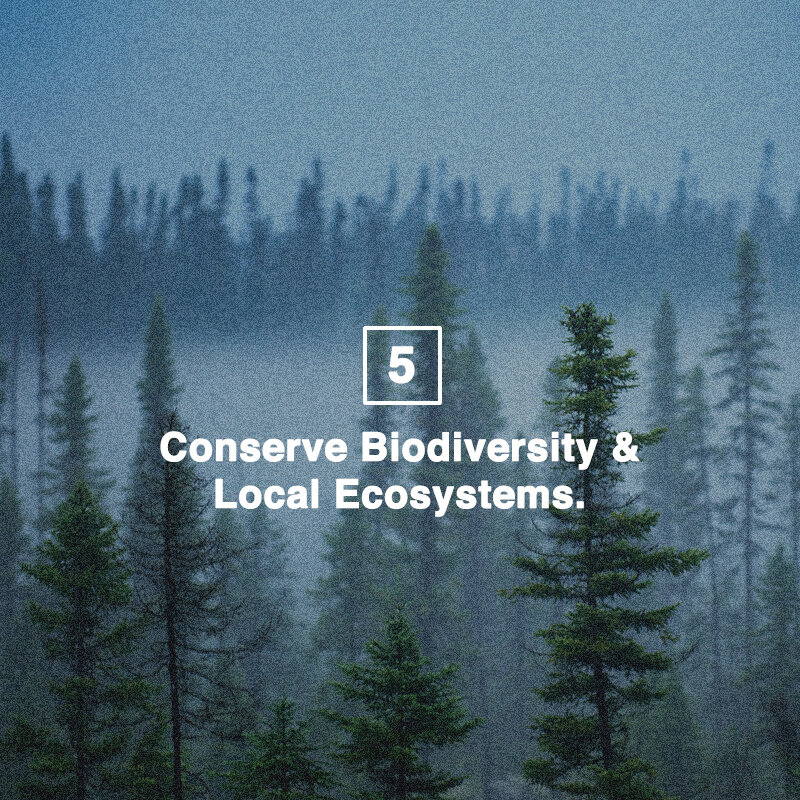 Help Conserve Biodiversity &amp; Local Ecosystems Through Sustainable Fashion