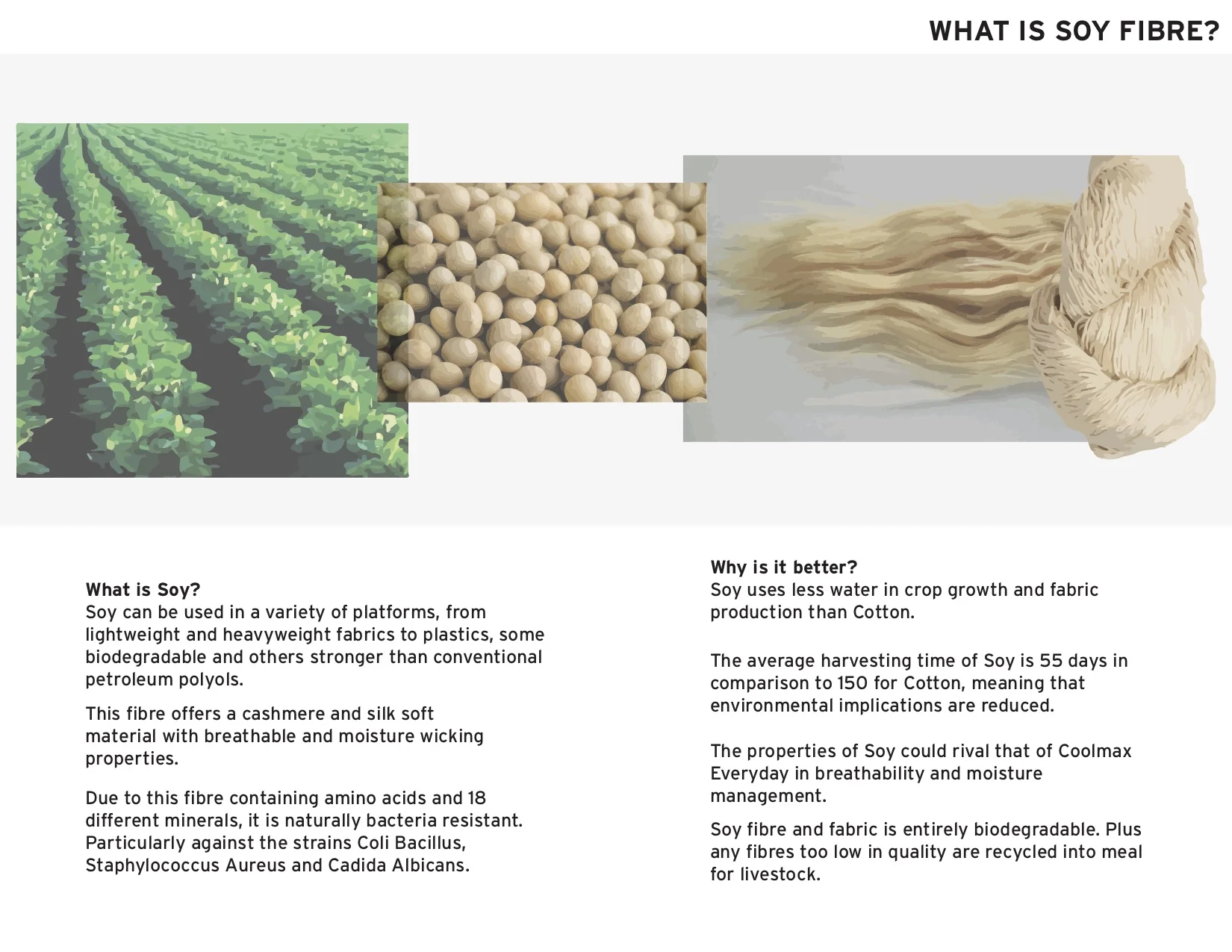 Commuter Biotech Portfolio5.jpg