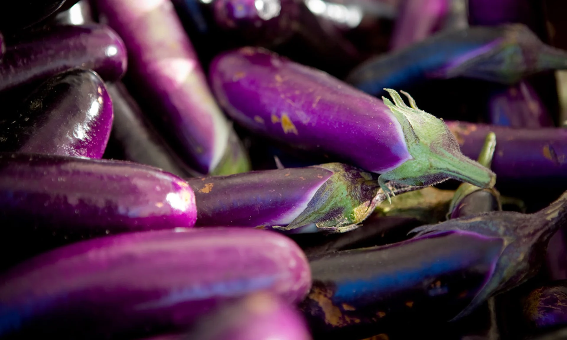 eggplants.jpg