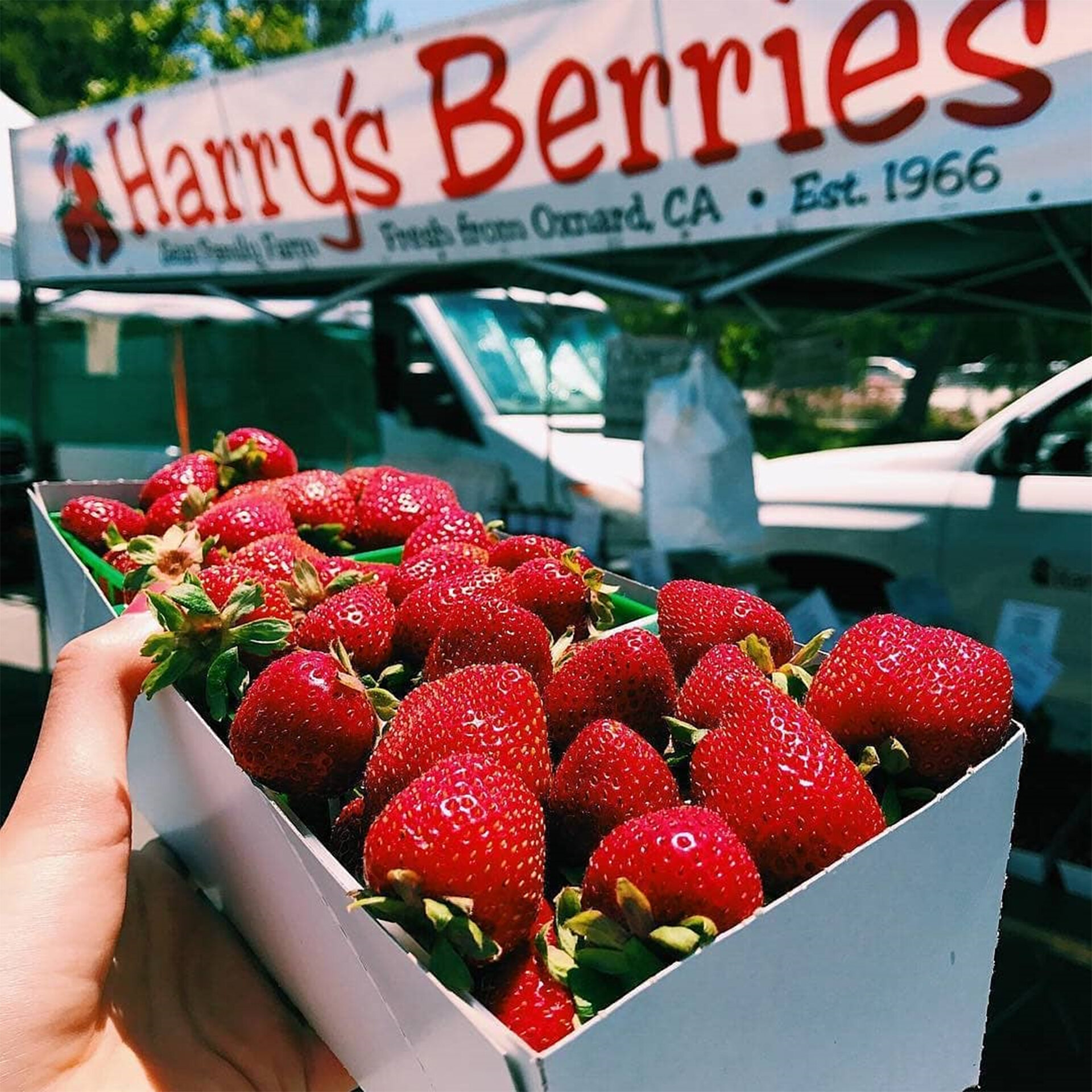 February 9, 2020 Santa Clarita Certified Farmers' Market Report — VCCFM