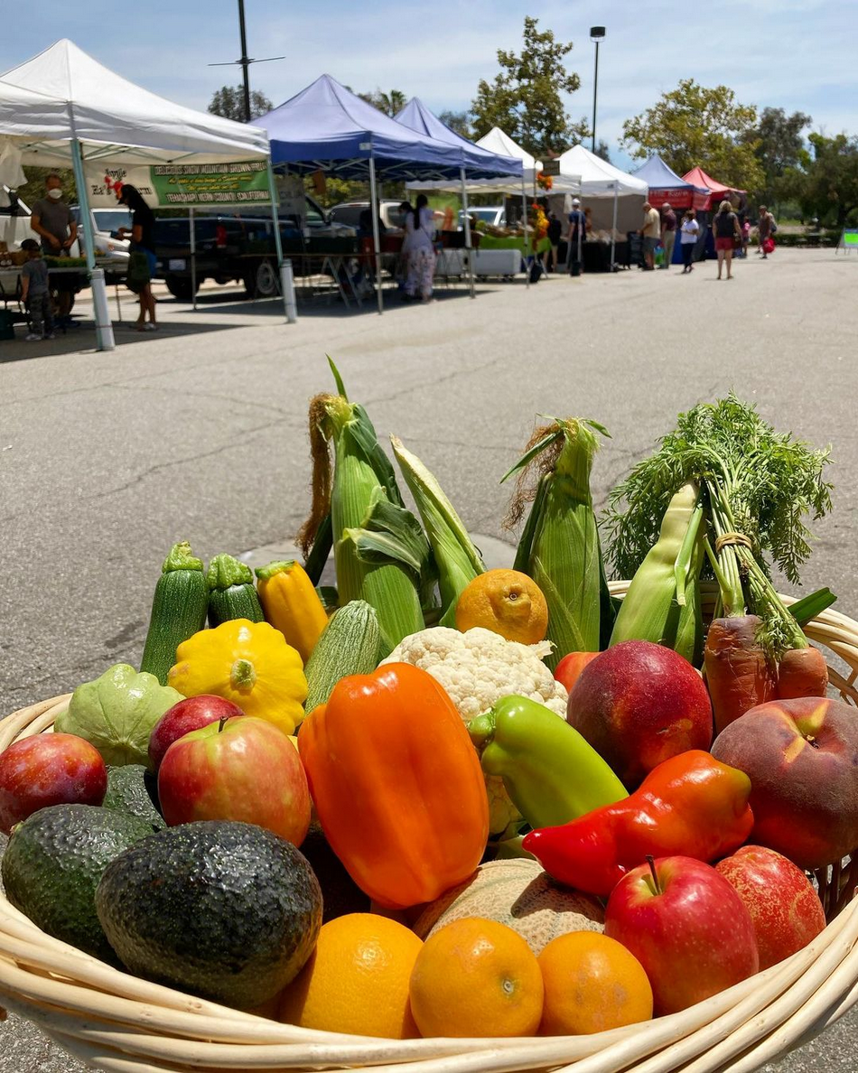 Screenshot 2022-11-02 at 17-27-28 ThousandOaksFarmersMarket (@thousandoaksfarmersmarket) • Instagram photos and videos.png