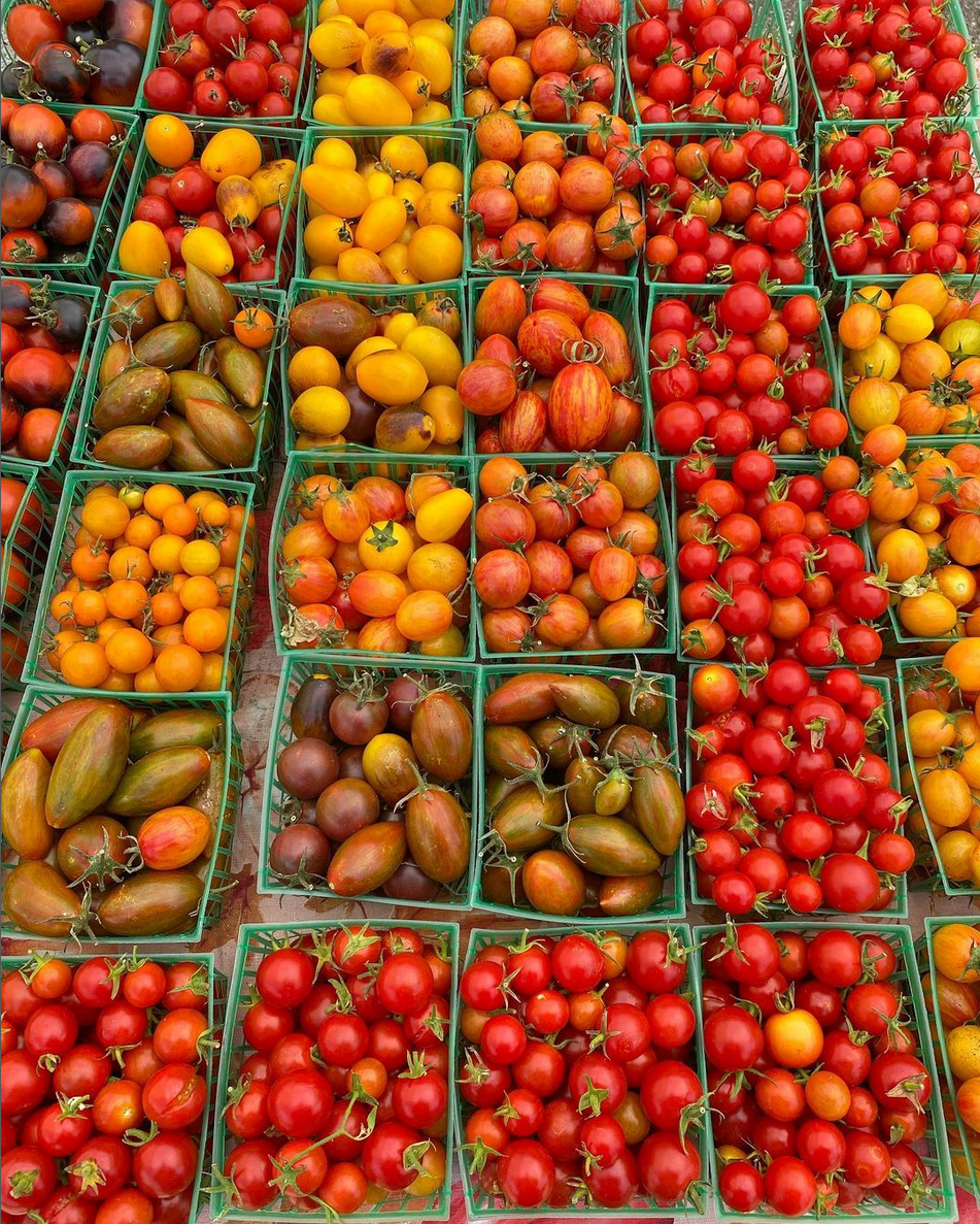 Screenshot 2022-11-02 at 17-26-39 ThousandOaksFarmersMarket (@thousandoaksfarmersmarket) • Instagram photos and videos.png