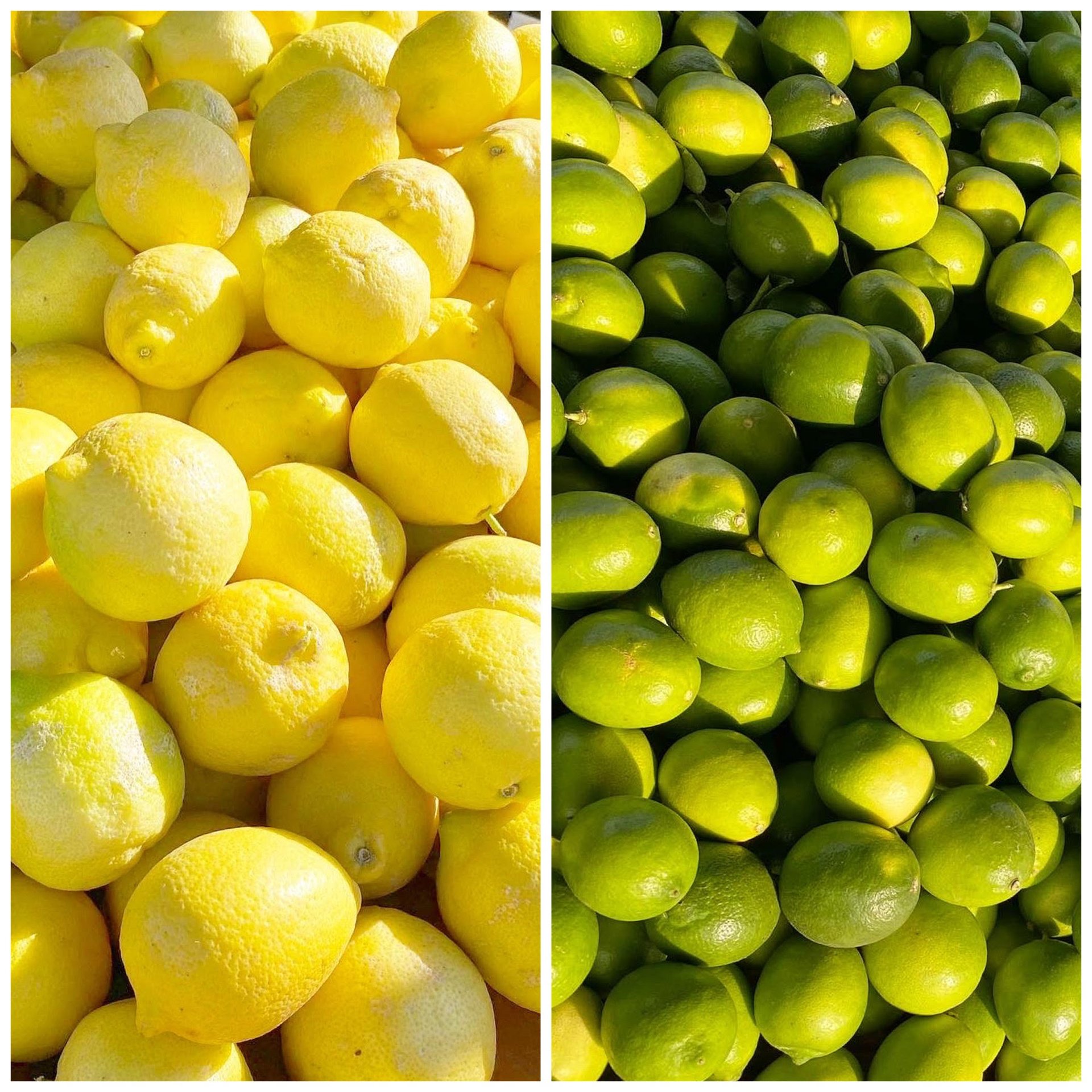 Wonderful Seedless Fresh Lemons - 1 Pound Bag, 1 lb - Fry's Food