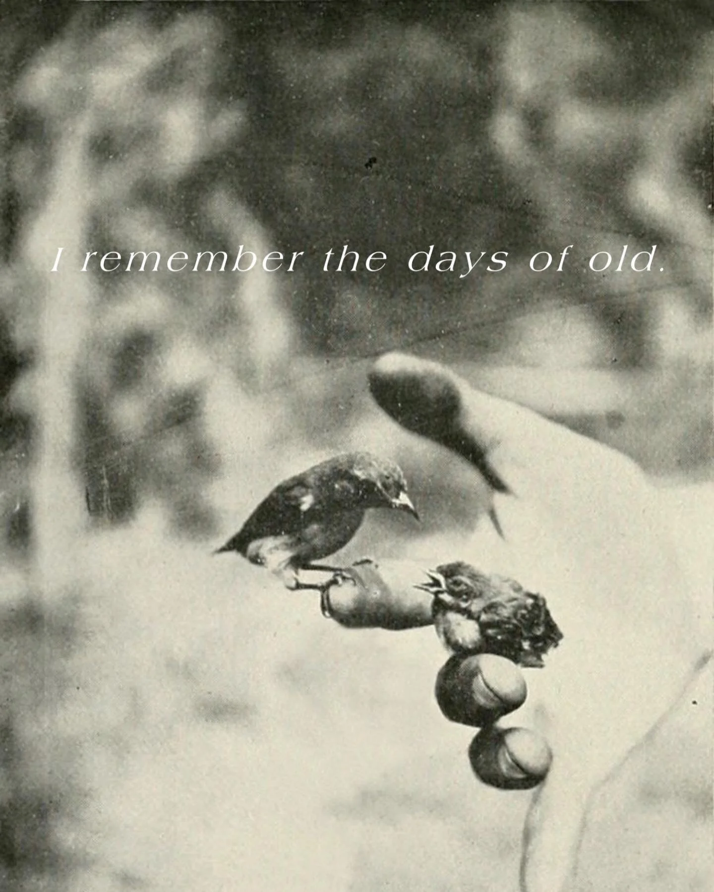 When the world around me feels like it is crumbling, I choose to remember the days of old.  To remember all the ways that my Heavenly Father has saved me and brought me out of the debris, making something beautiful out of it. He has done it every tim