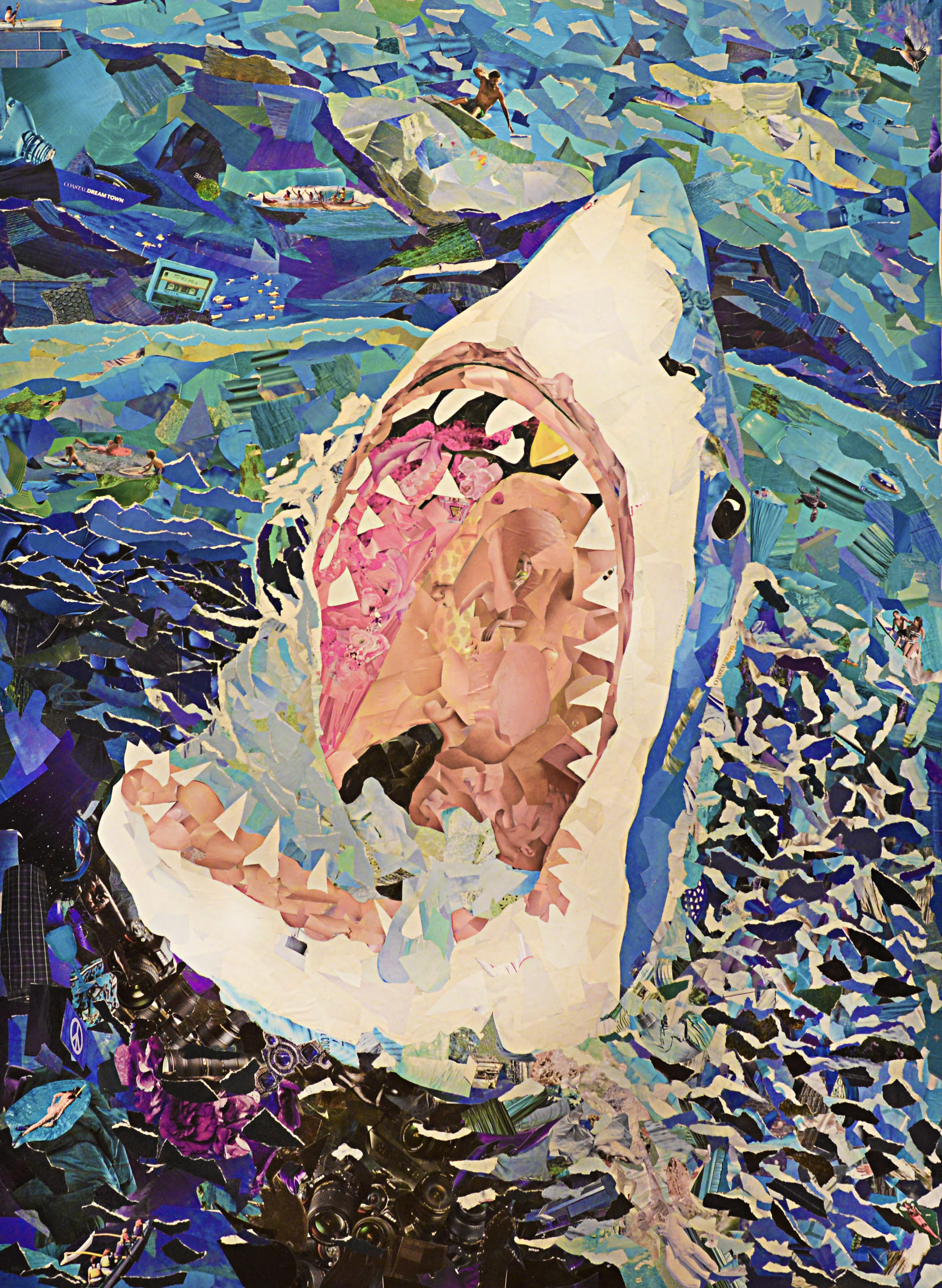 shark copy.jpg