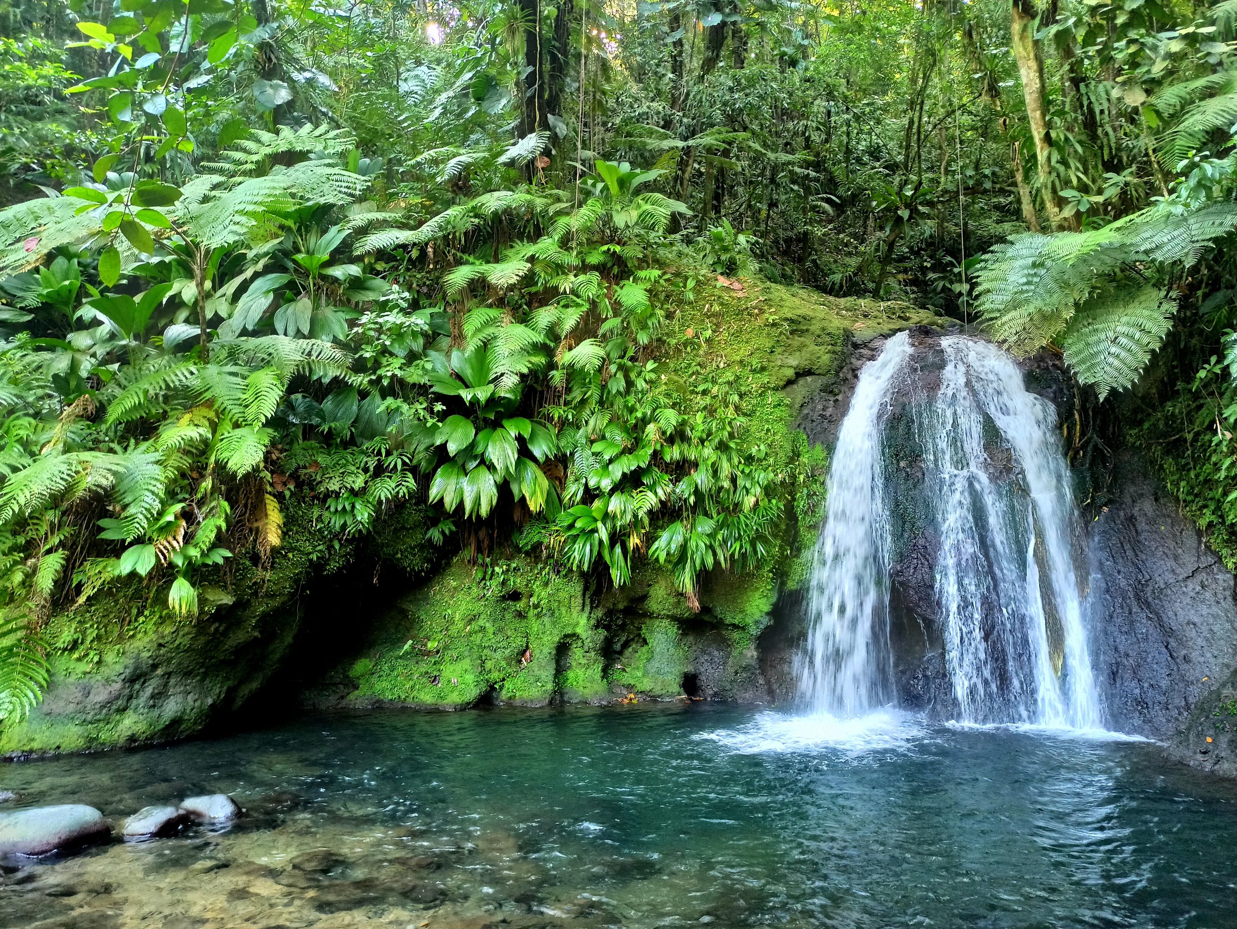 Customized meditations