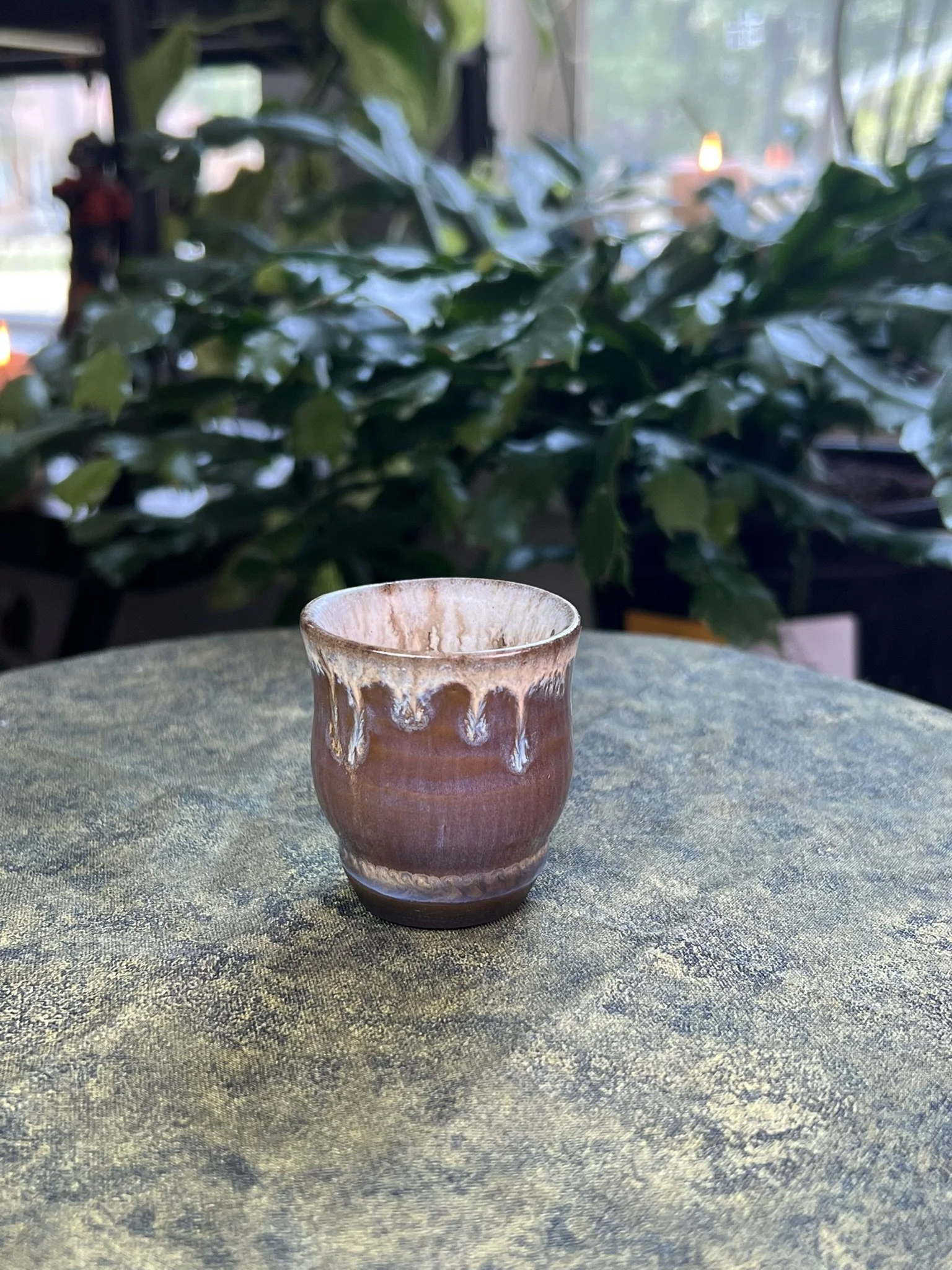 IMG_2309.JPEG