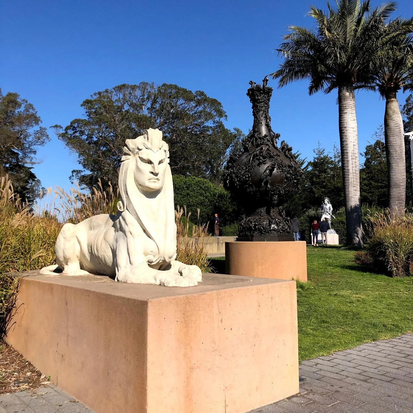 3 Spots You Must Go In Golden Gate Park ゴールデンゲートパークのおすすめスポットトップ３ Sumire