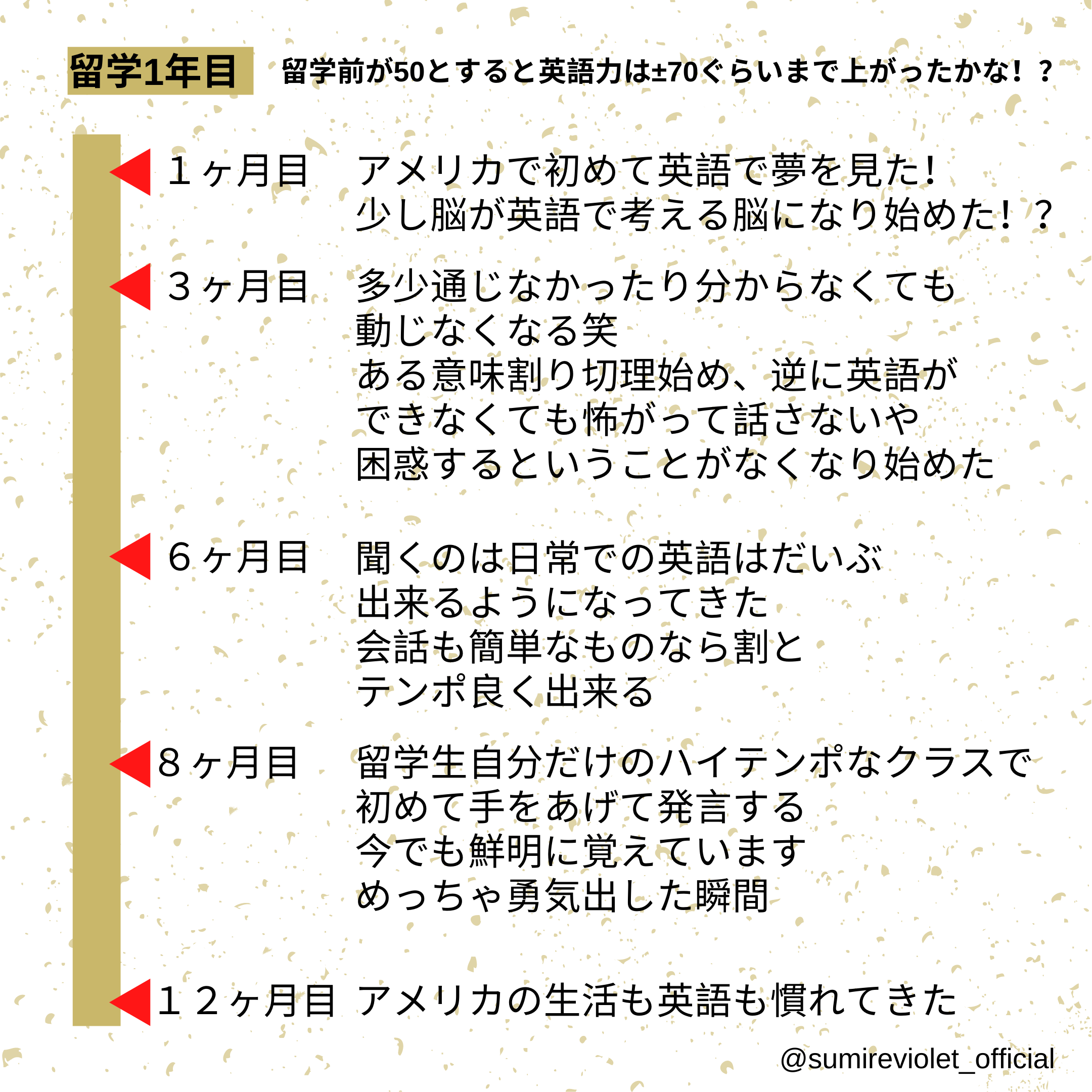 私の英語の変化 純ジャパで一人でアメリカへ 英語力伸びた どれくらいかかった 勉強法は アメリカ留学日記 Sumire