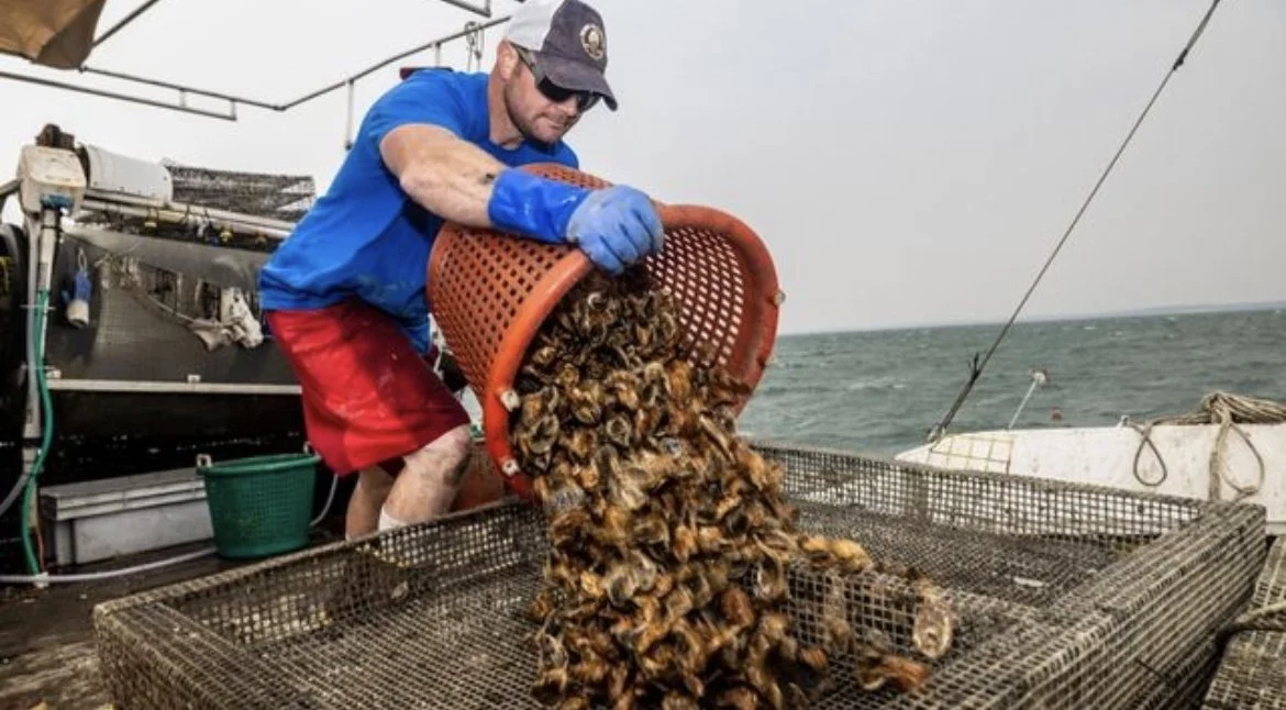 These Long Islanders are making a living on the Water - Newsday FeedMe Magazine, July 2023