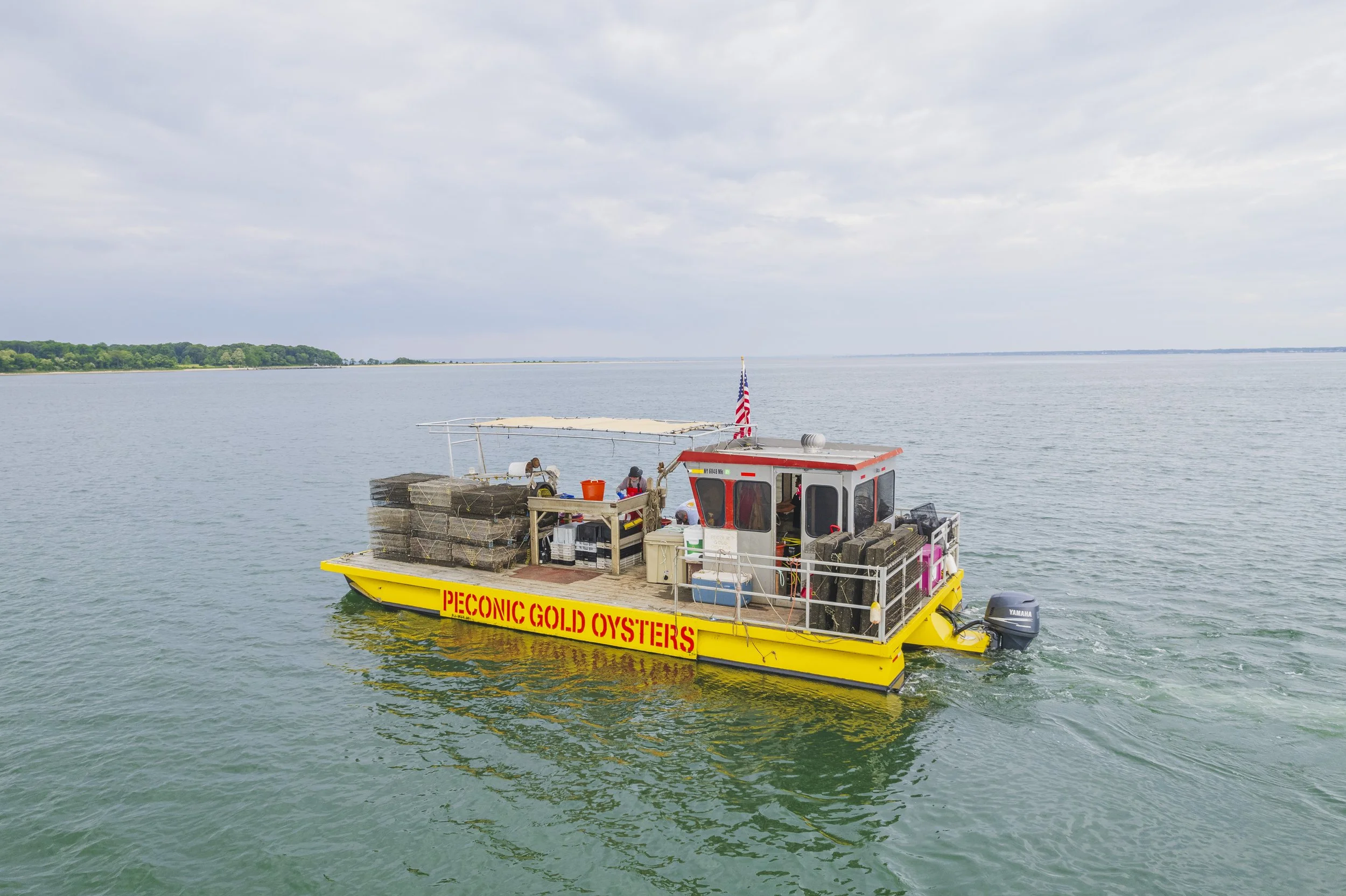Peconic Gold Oysters - Our Process — Peconic Gold Oysters