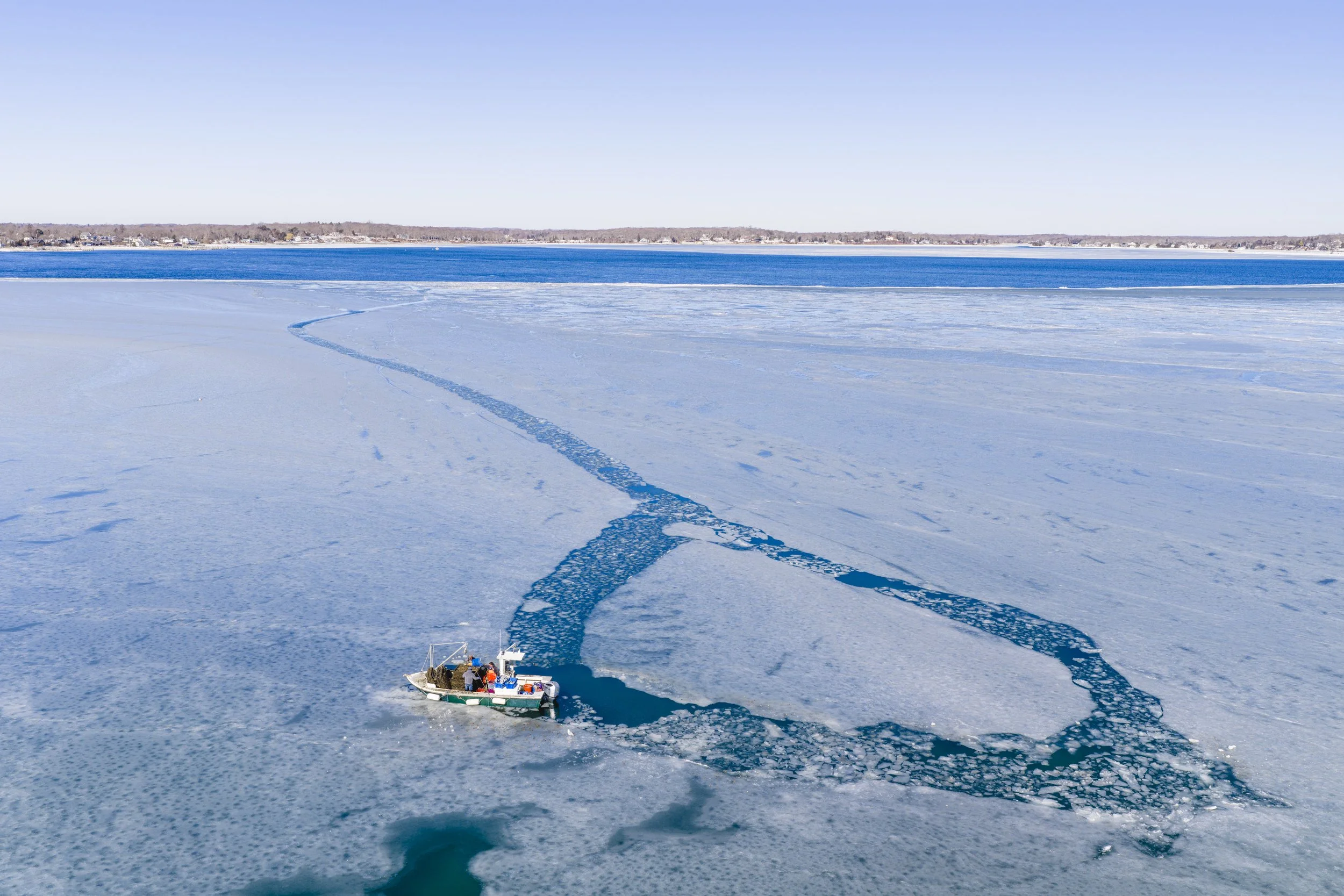 PeconicGoldOyster-FrozenIn012.jpg