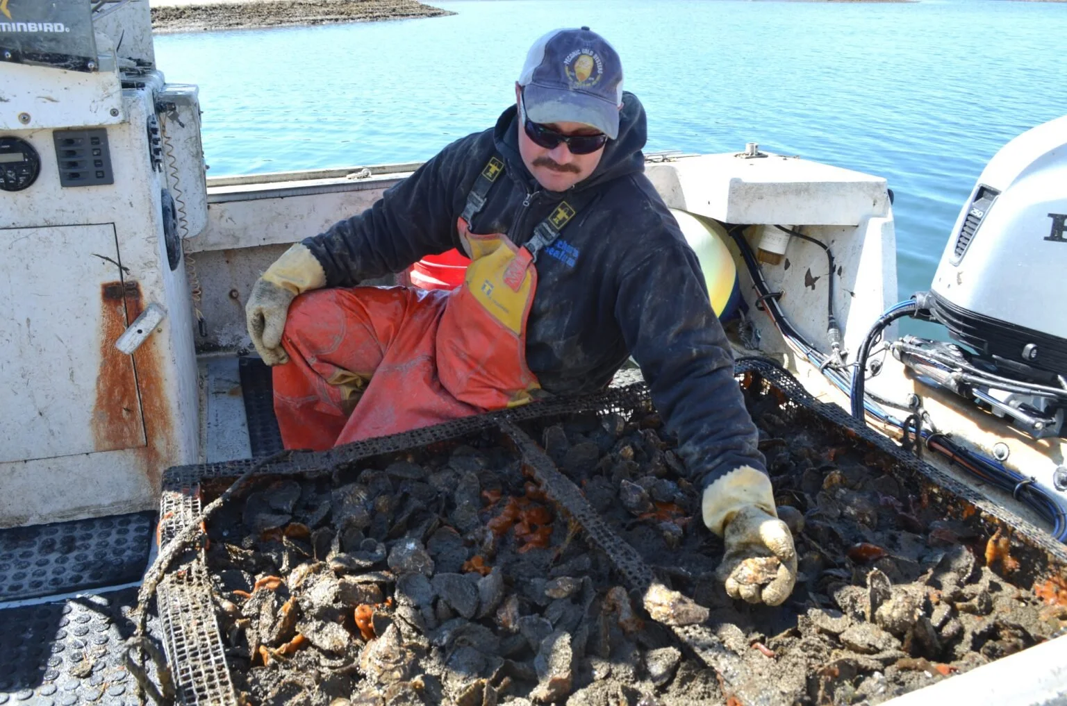 North Fork oyster growers get $3M boost after devastating winter losses