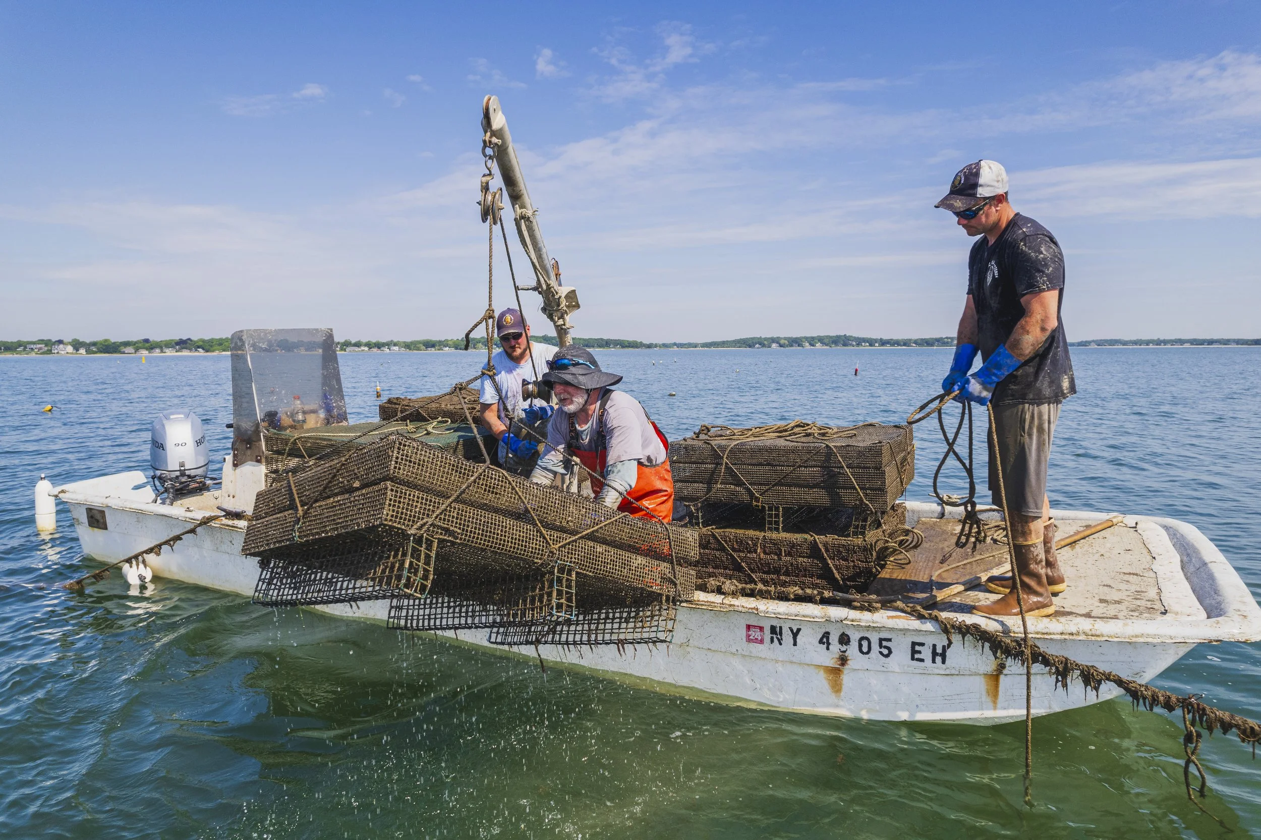 Peconic Gold Oysters - Our Process — Peconic Gold Oysters