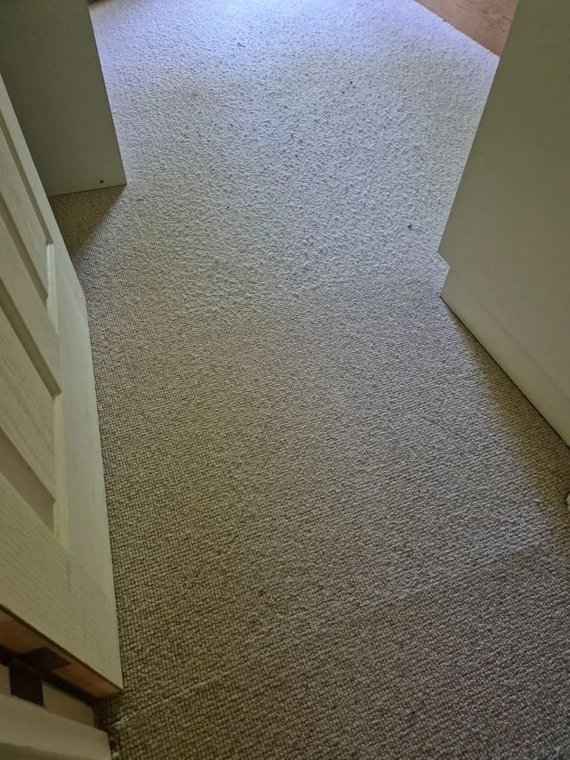 Carpet fuzzing or pilling