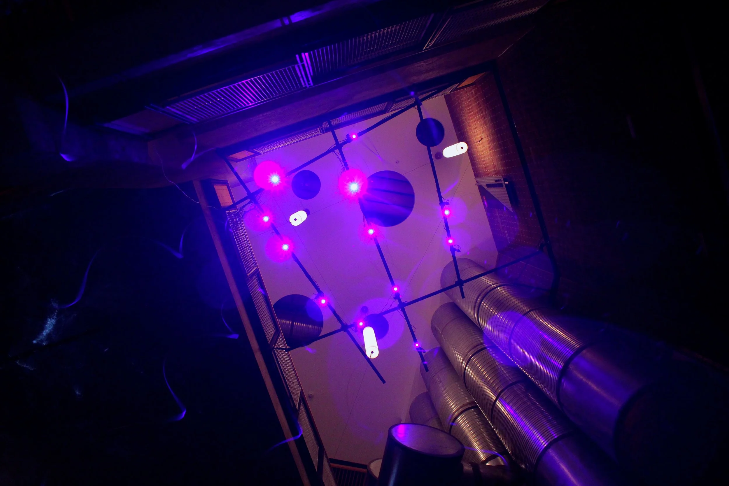 20150814_ISEA_Art_VorticalFilament_VP_003.JPG