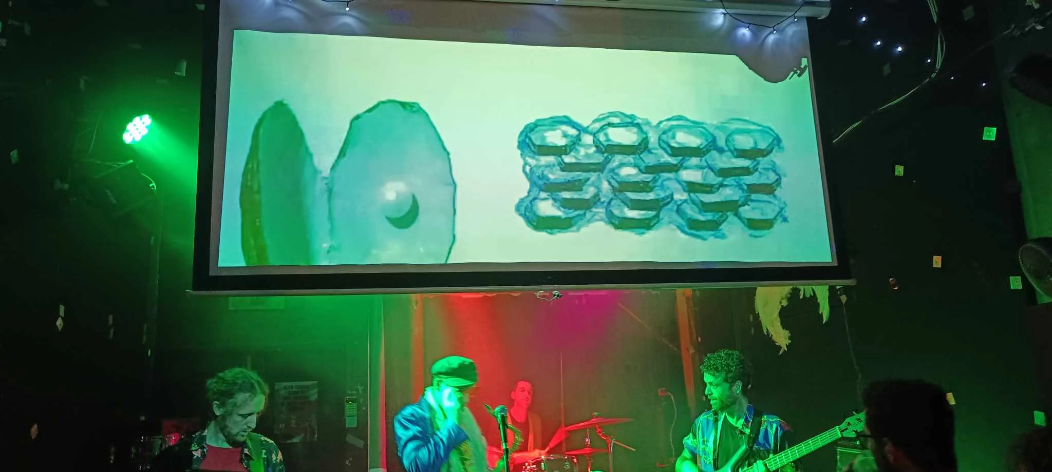 King Oyster Band Pic.jpeg