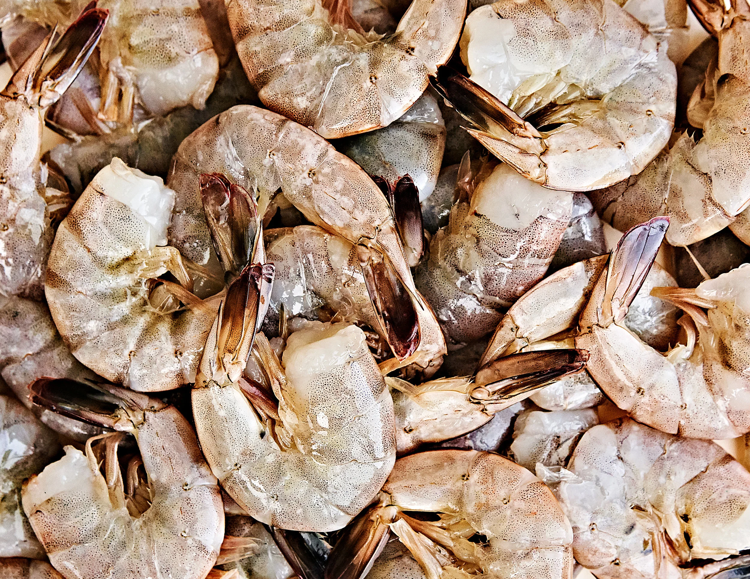 Close-up raw shrimp with tails