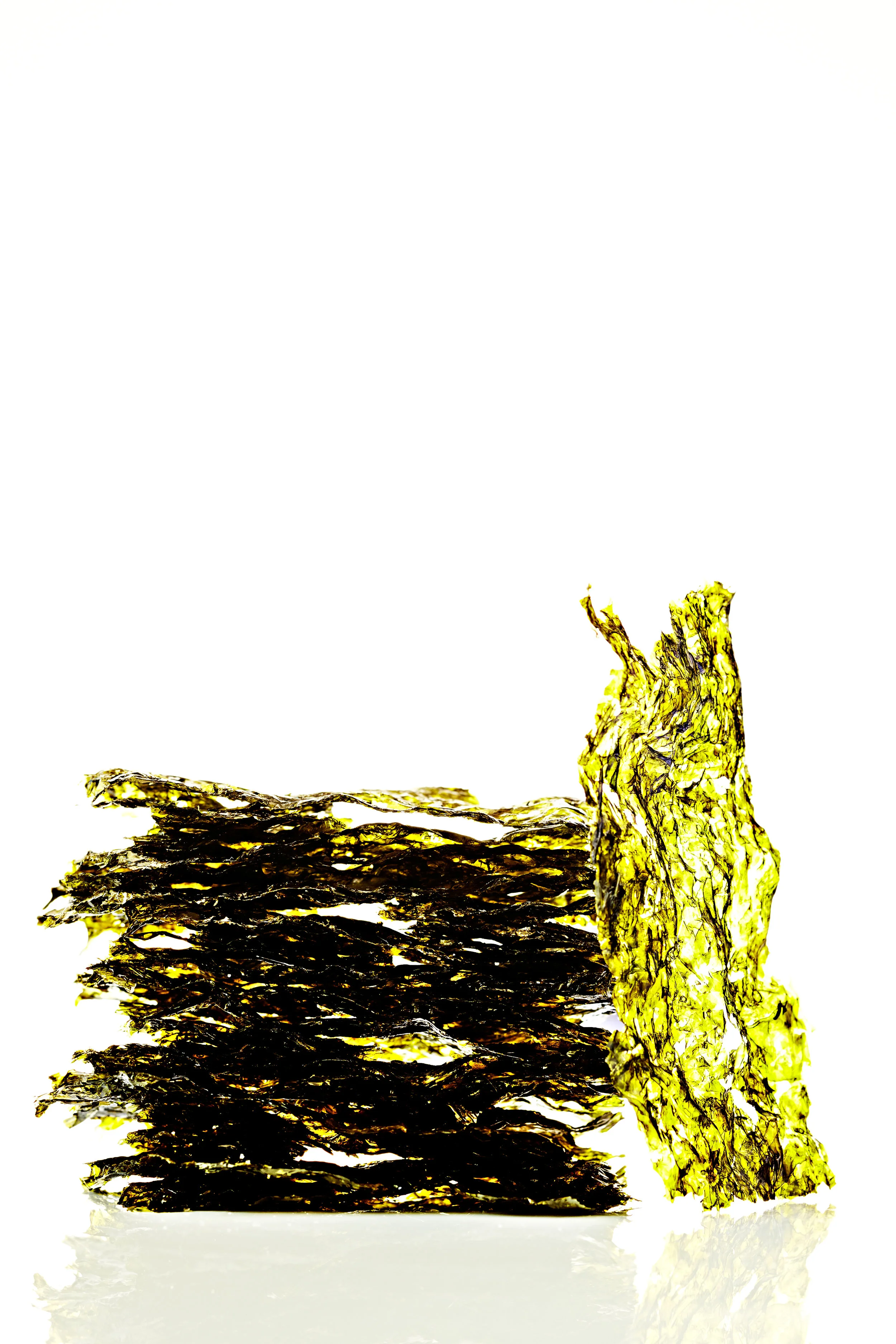 Roasted seaweed snacks still-life on white