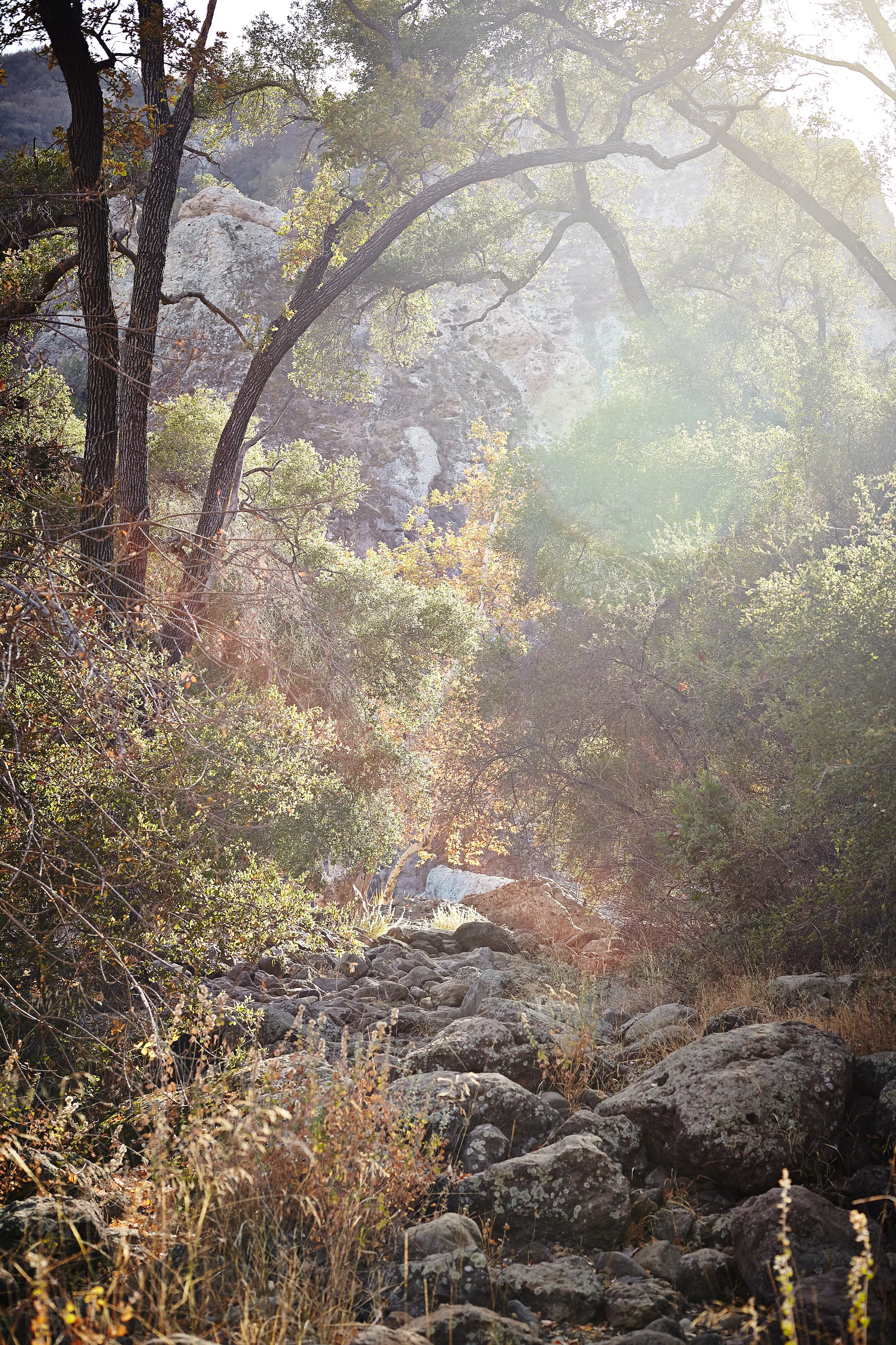 Dry river bed with rainbow soft light