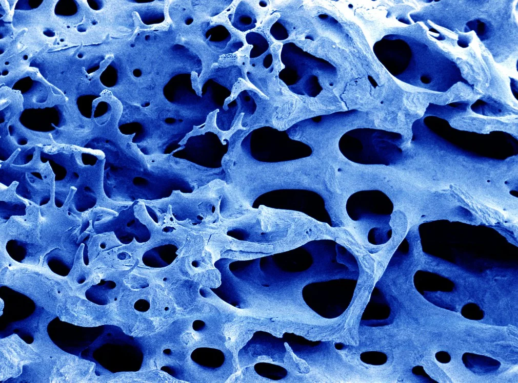 Snapshots of Science: December 2017