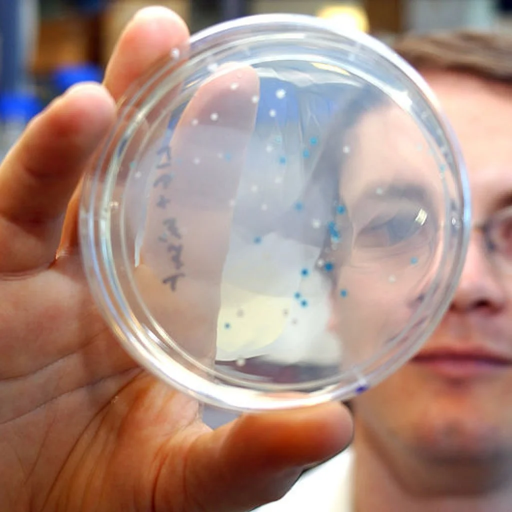 UCL research roundup: 'transmissible' Alzheimer's, Chirp and Nano-HIV Tests