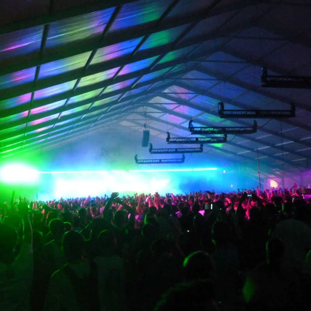 Music Features: Does electronic music discriminate?