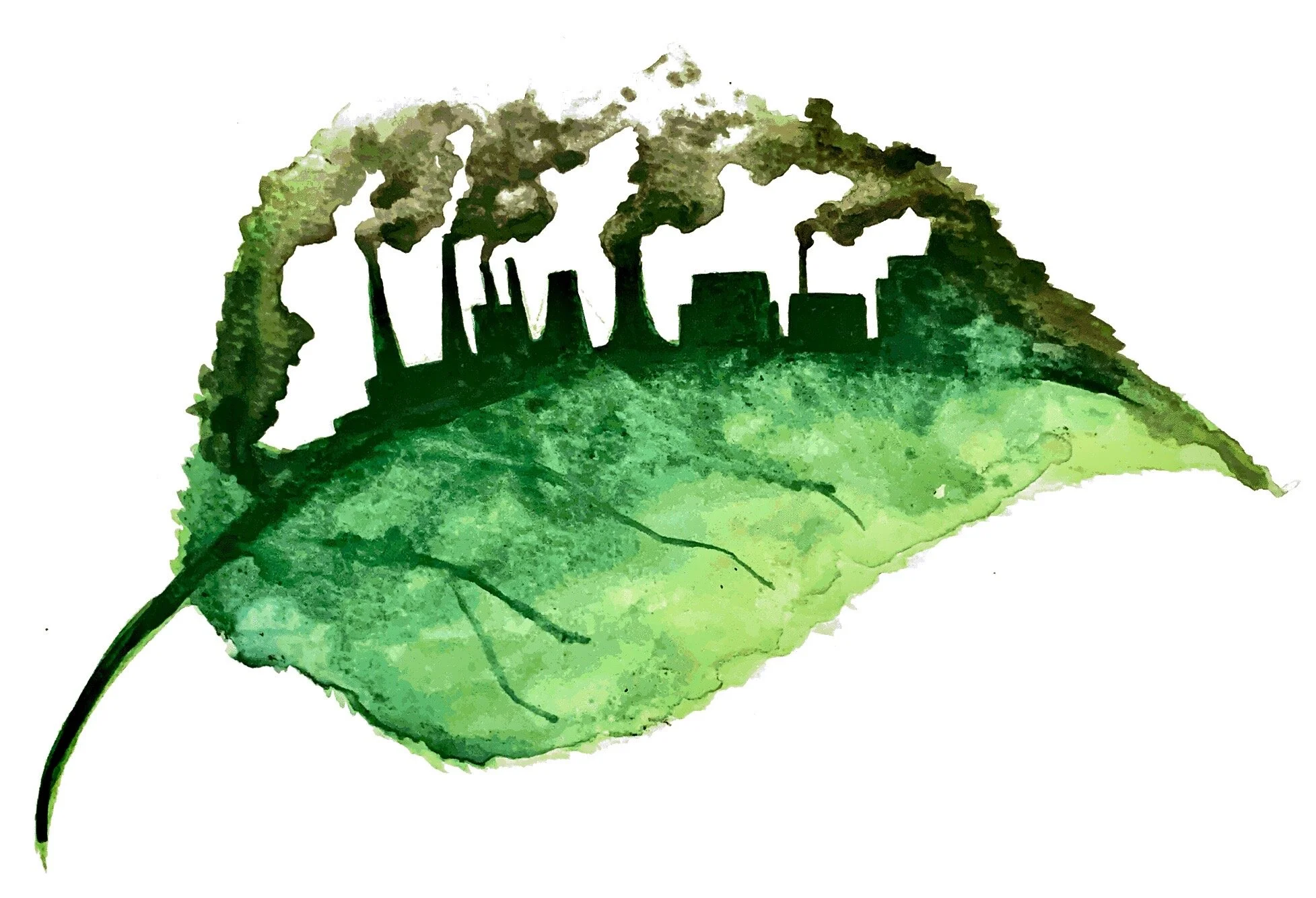 Making money greener: building a sustainable economy