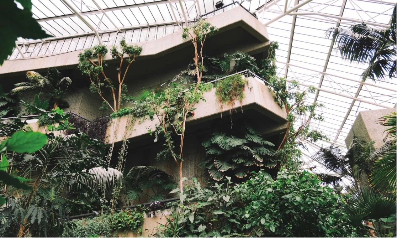 Botanic bliss: The UK’s best glasshouses