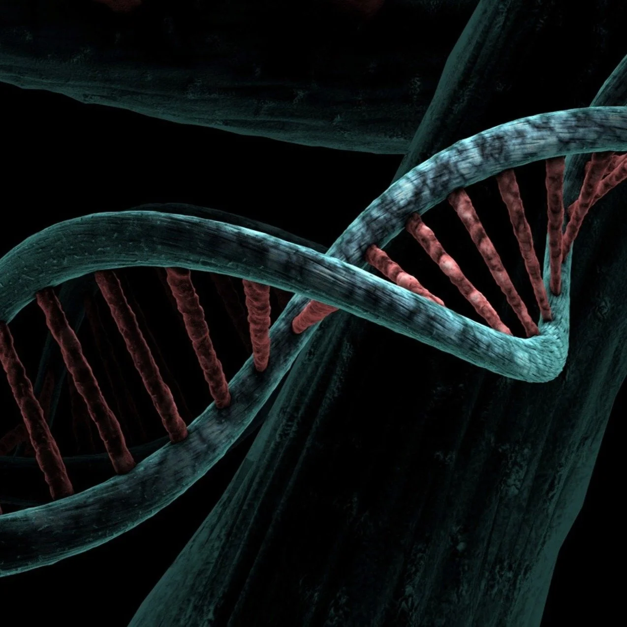 Could Genetically Modified Mosquitoes Stop the Spread of Deadly Diseases?