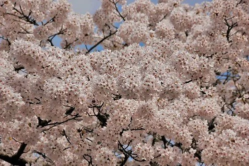 Spring has Sprung: What Bloomsbury Has to Offer Us