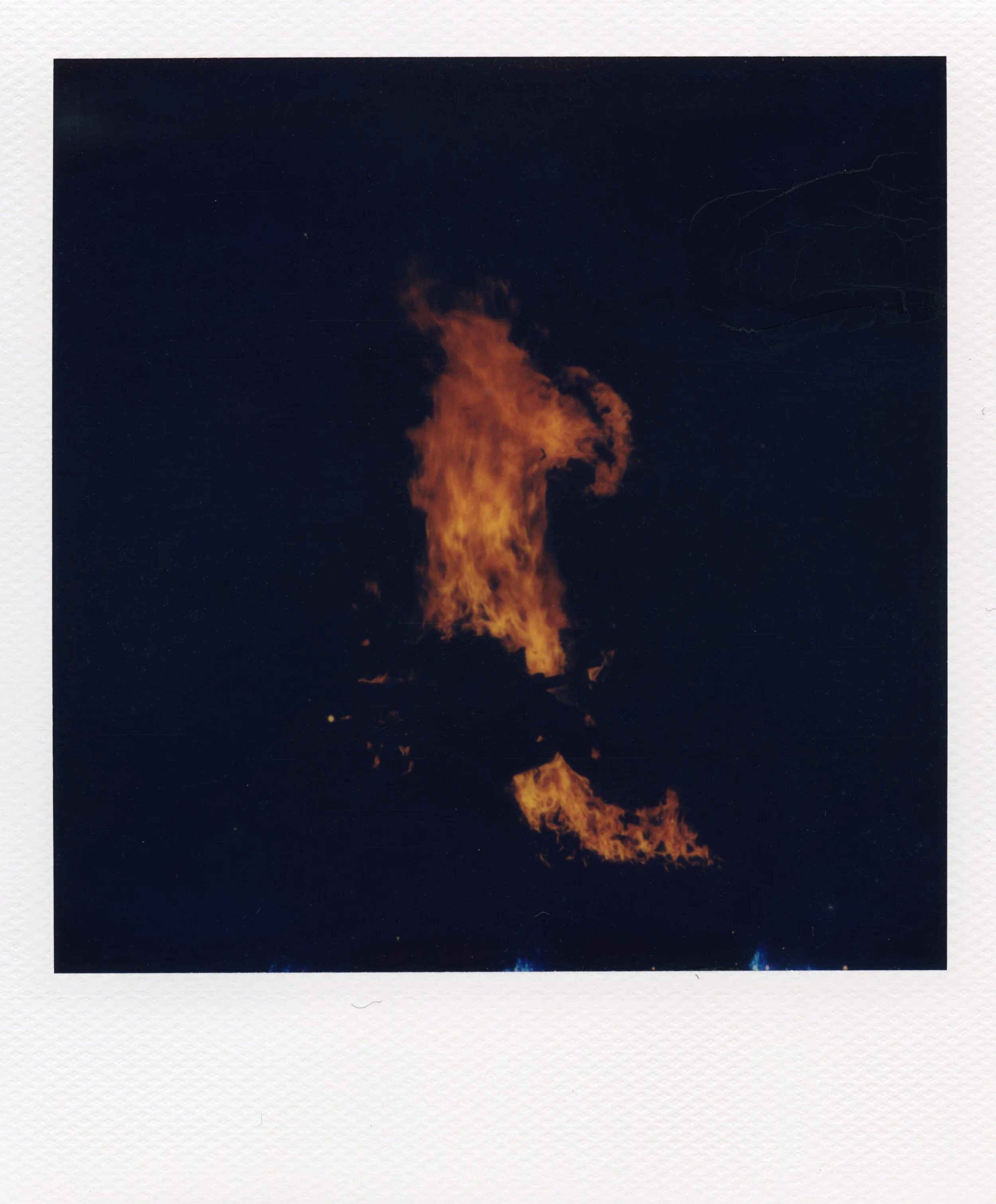 All_Polaroids_225.jpg