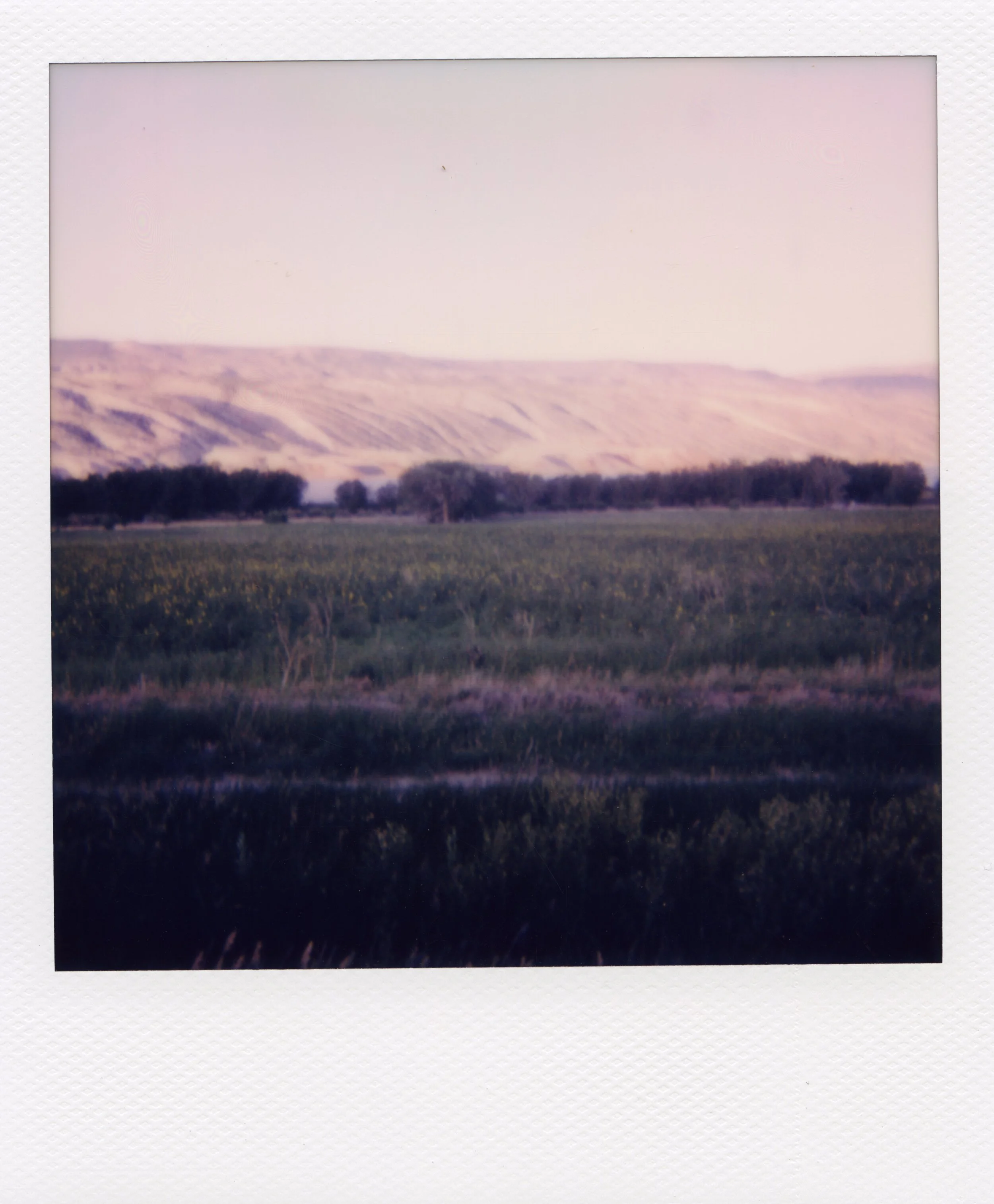 All_Polaroids_236.jpg
