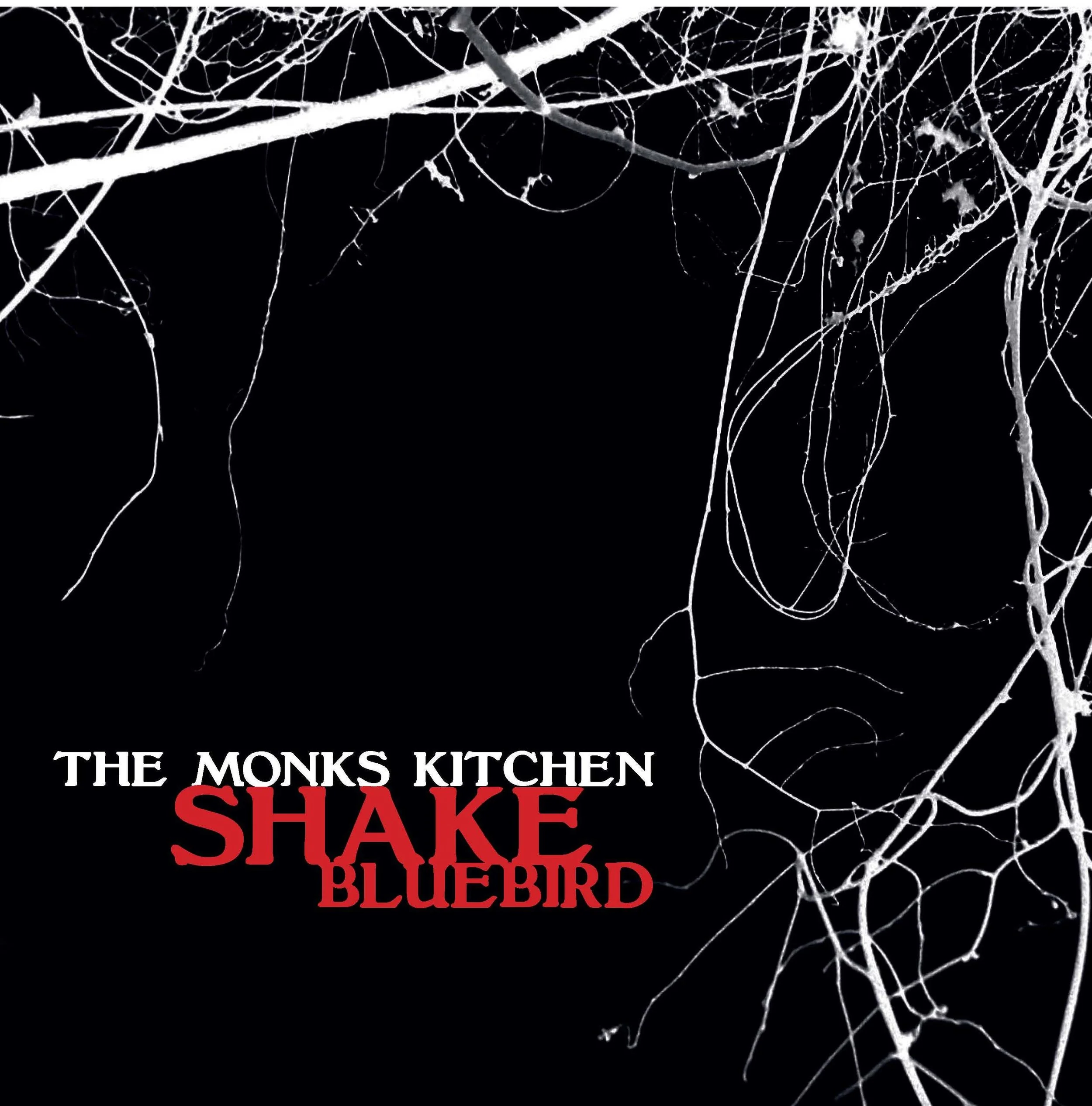Shake - single artwork.jpg