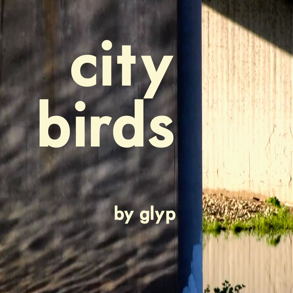 city birds.jpg