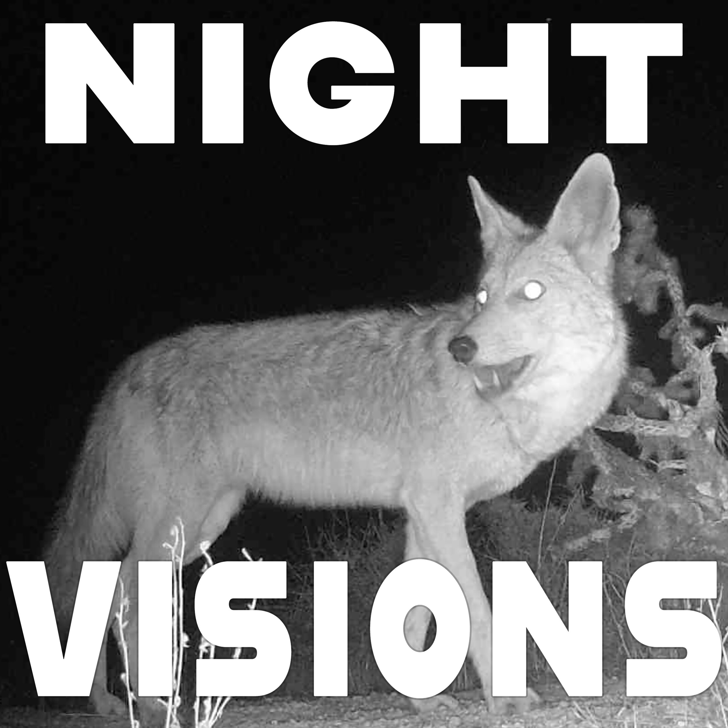 NightVisions_thumbnail.jpg