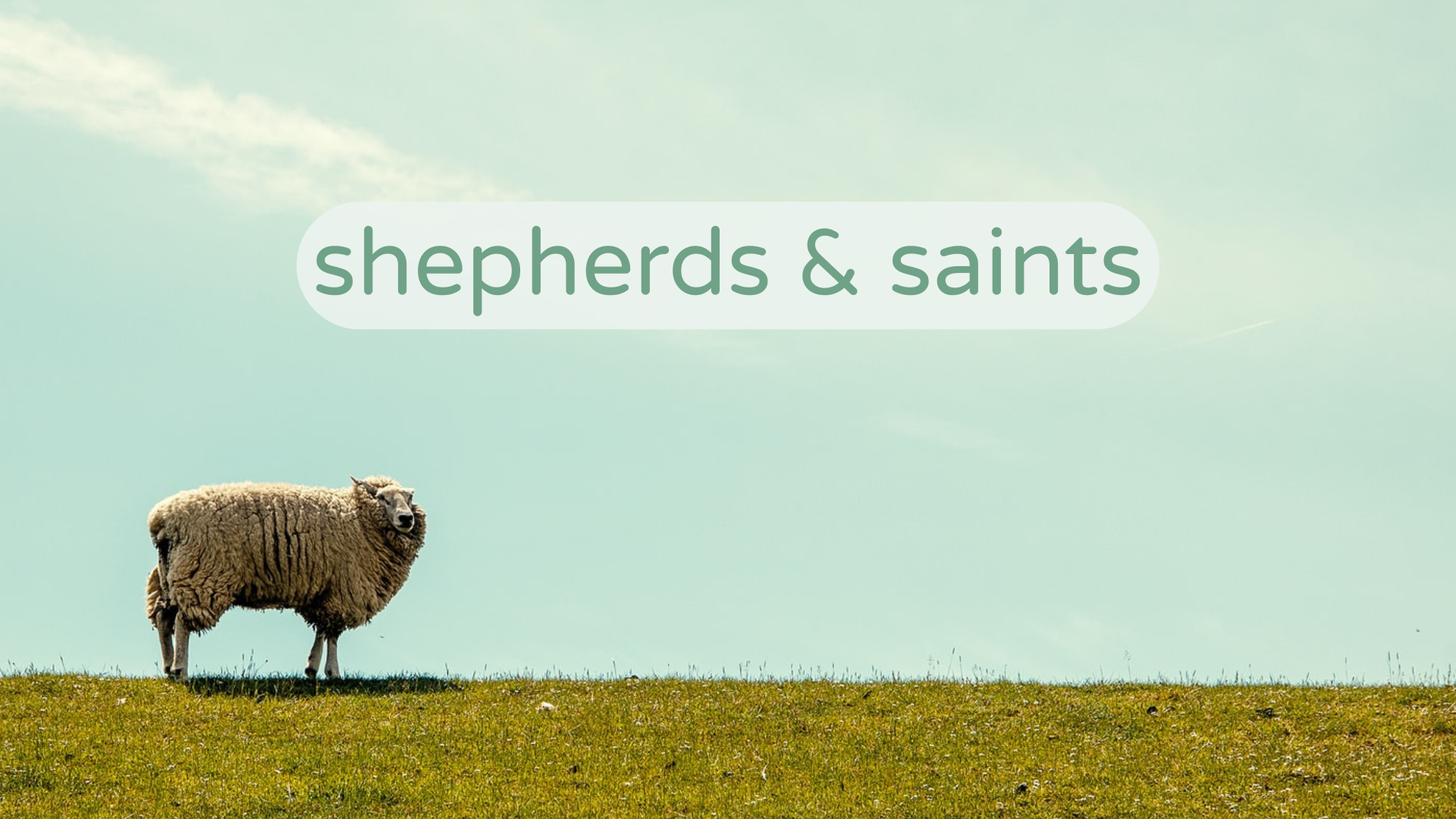 1. God's Design for Shepherds