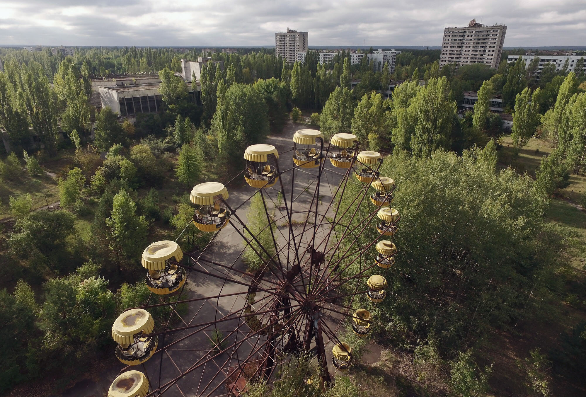 Dead-Inside-Chernobyl-Nature.jpg