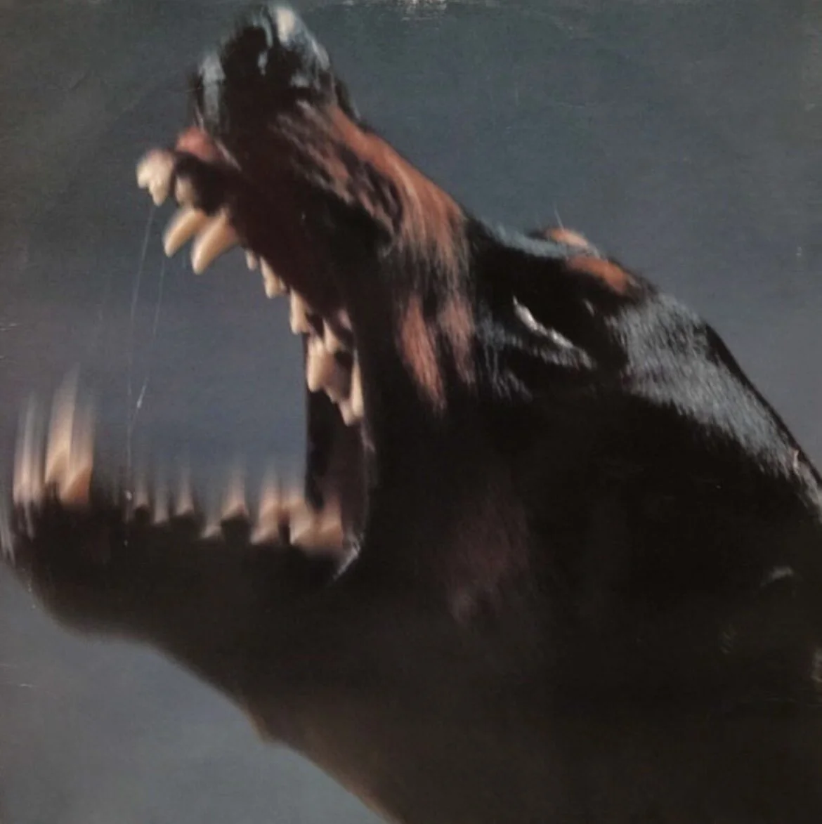 AE0BFDA6-1D76-406C-9FCA-0EC6162CA952