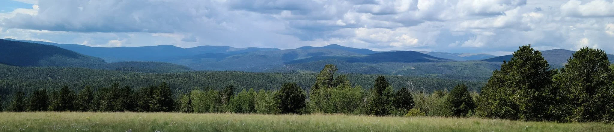 La Garita Mountains banner pic for website.jpg