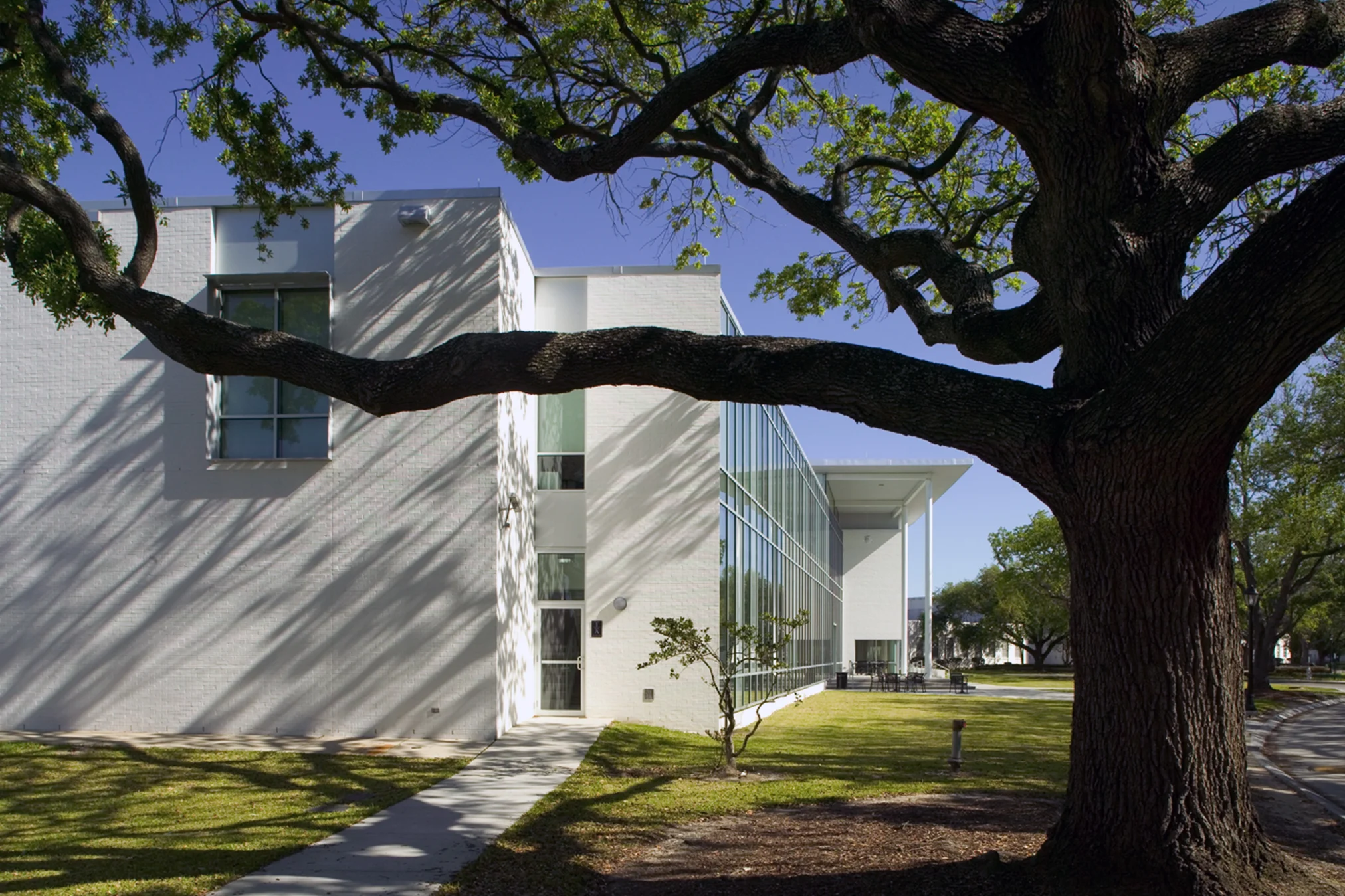 Dillard5.jpg