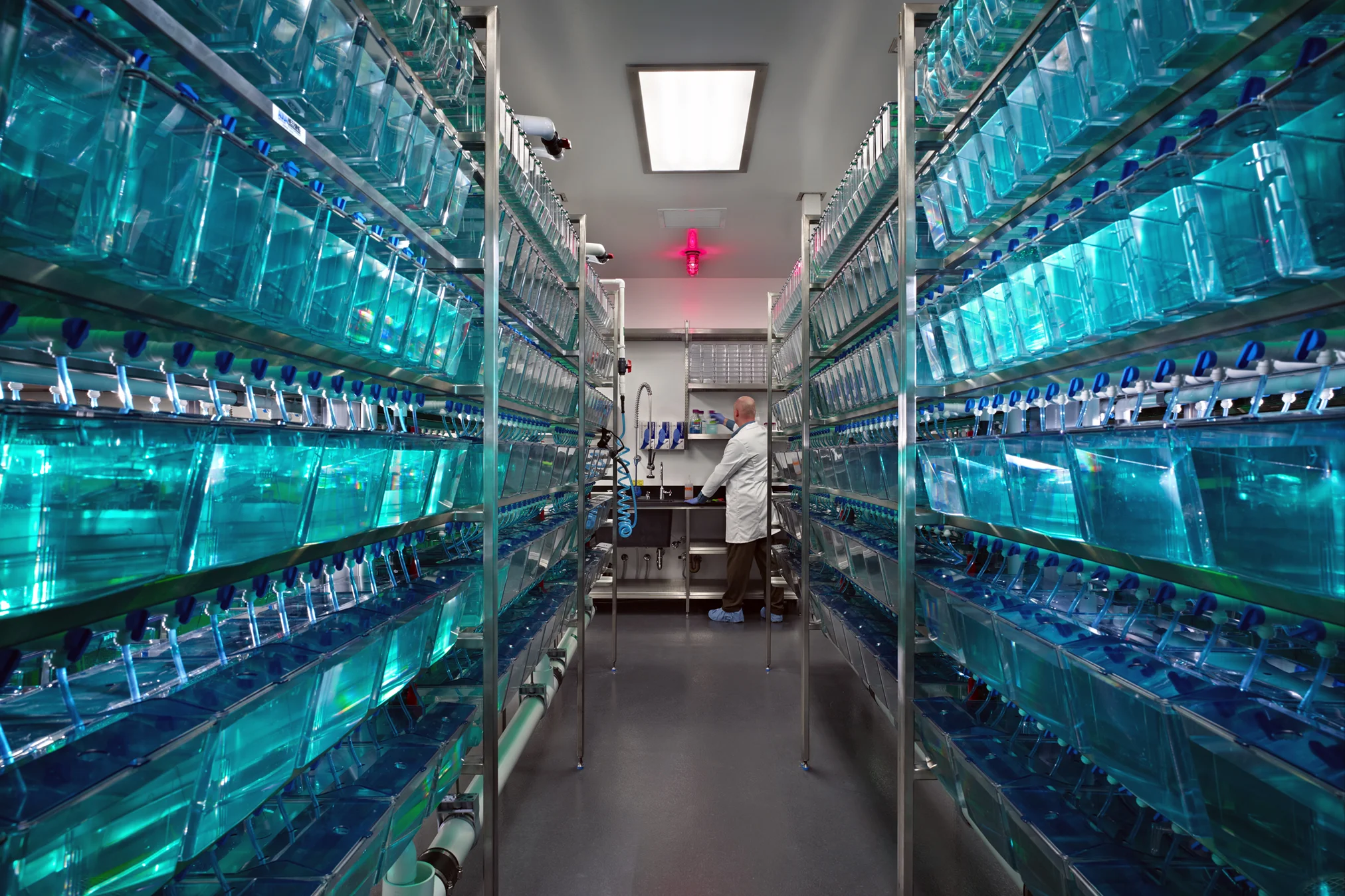 Seattle Children’s Research Institute Aquatics Suite