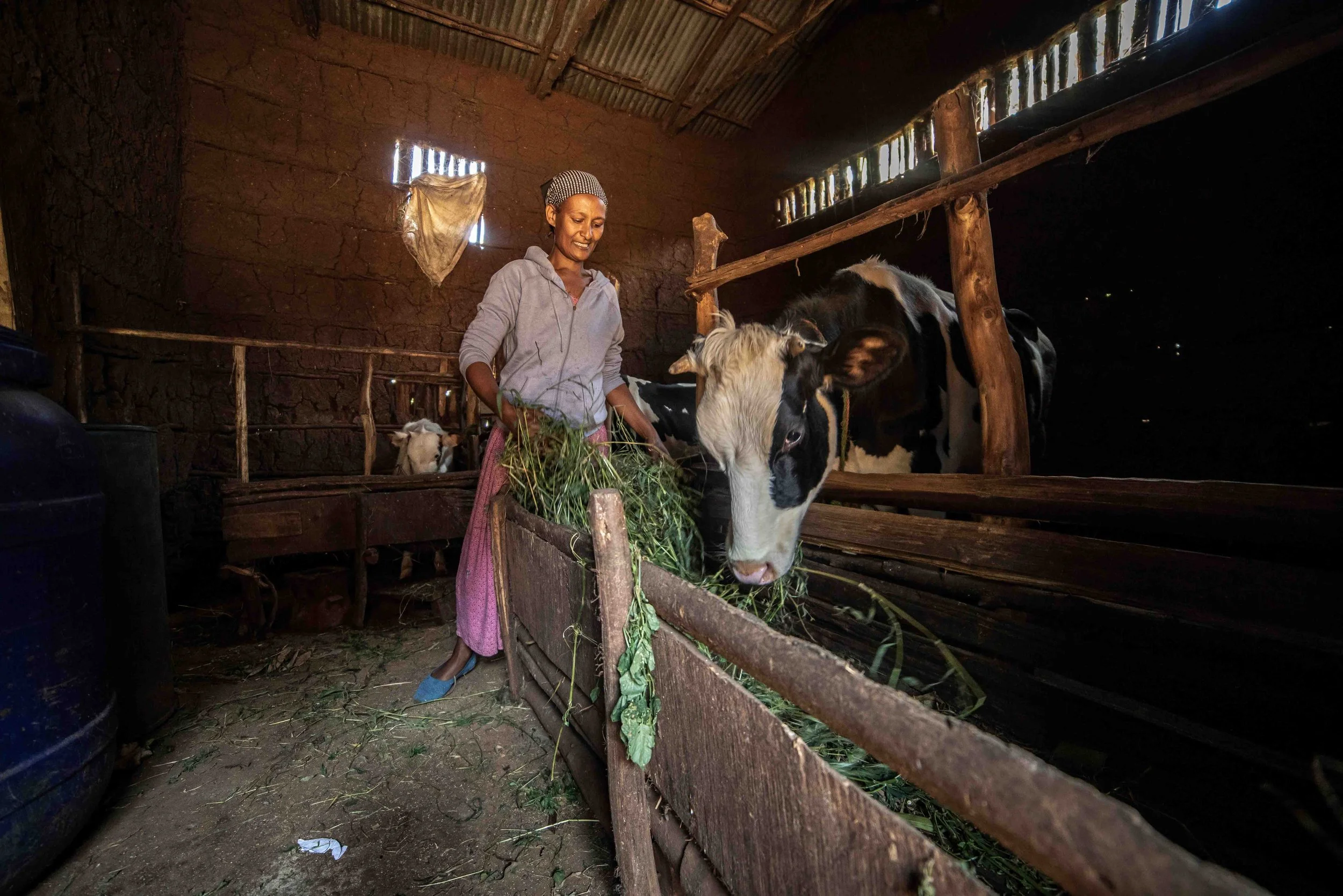 WB_ETHIOPIA_CI-DEV_BIOGAS_ALETA_WONDO-51_web.jpg