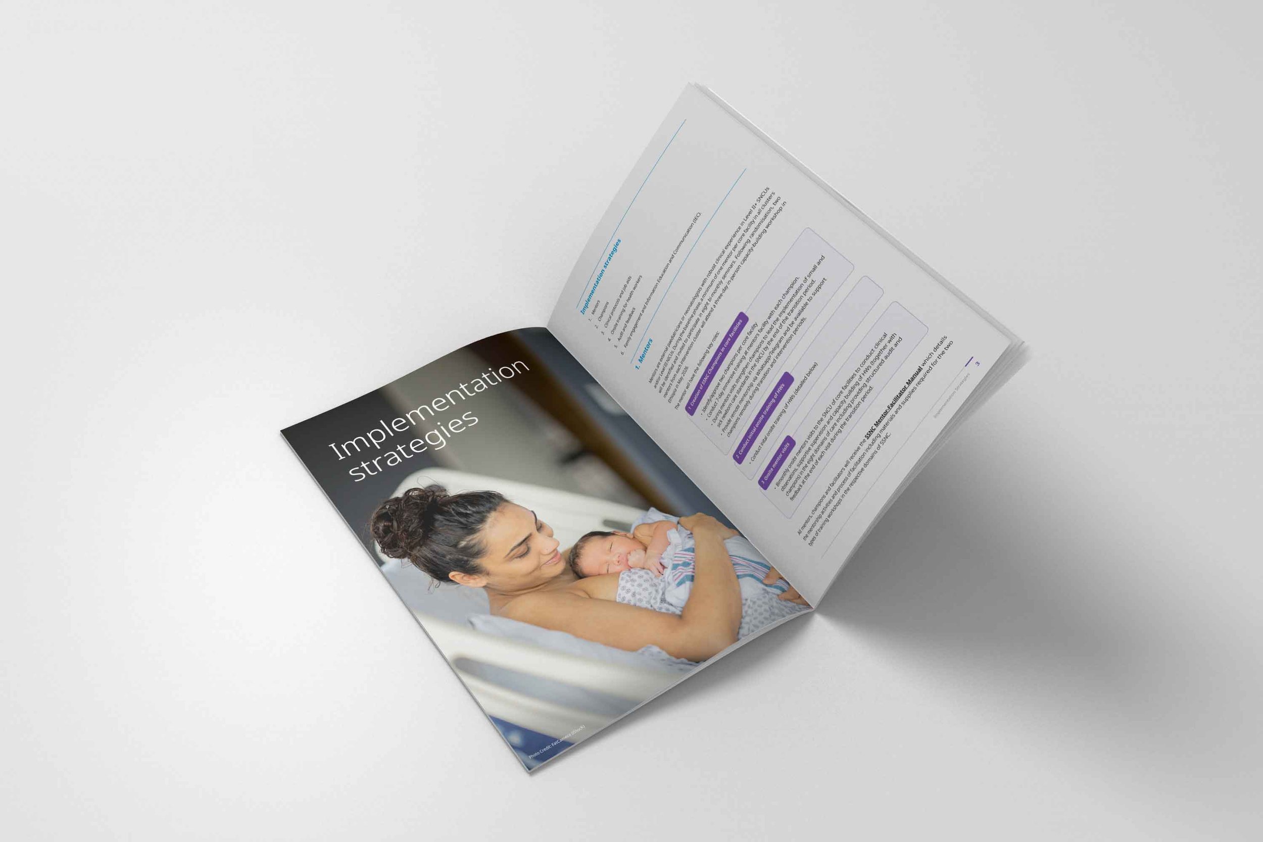 SSNC-Implementation-Manual-Mockup-3_web.jpg