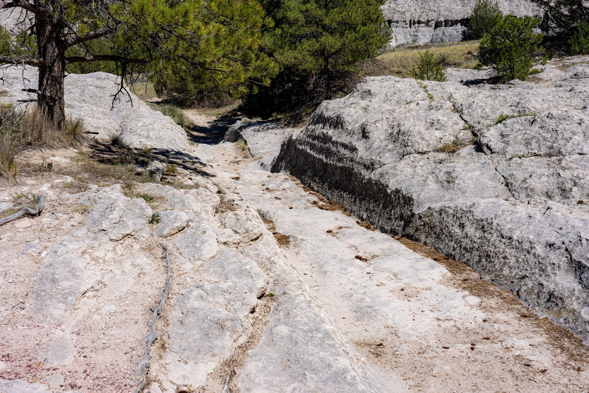 Guernsey ruts - Oregon Trail wagon ruts
