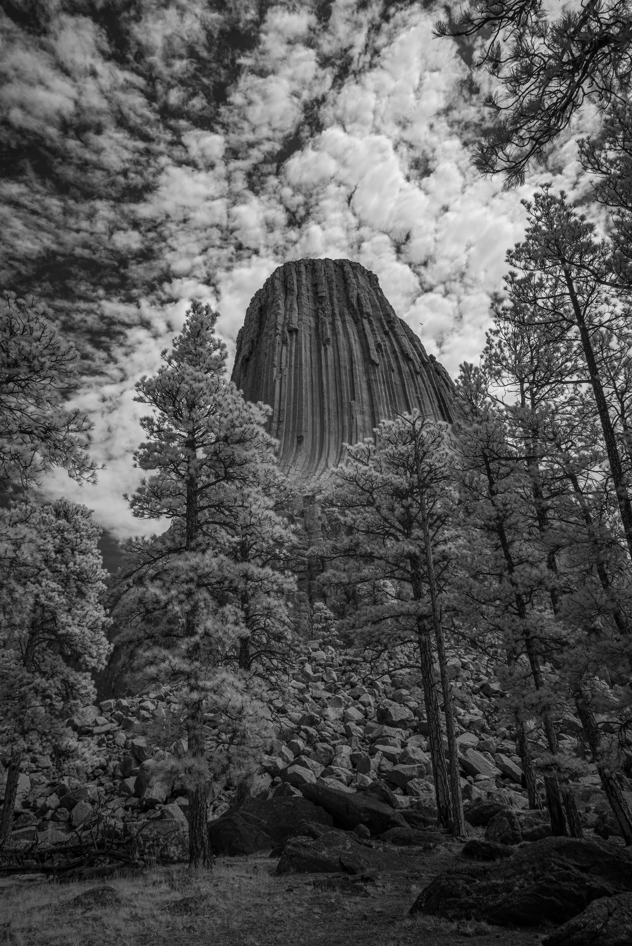 Devil's Tower
