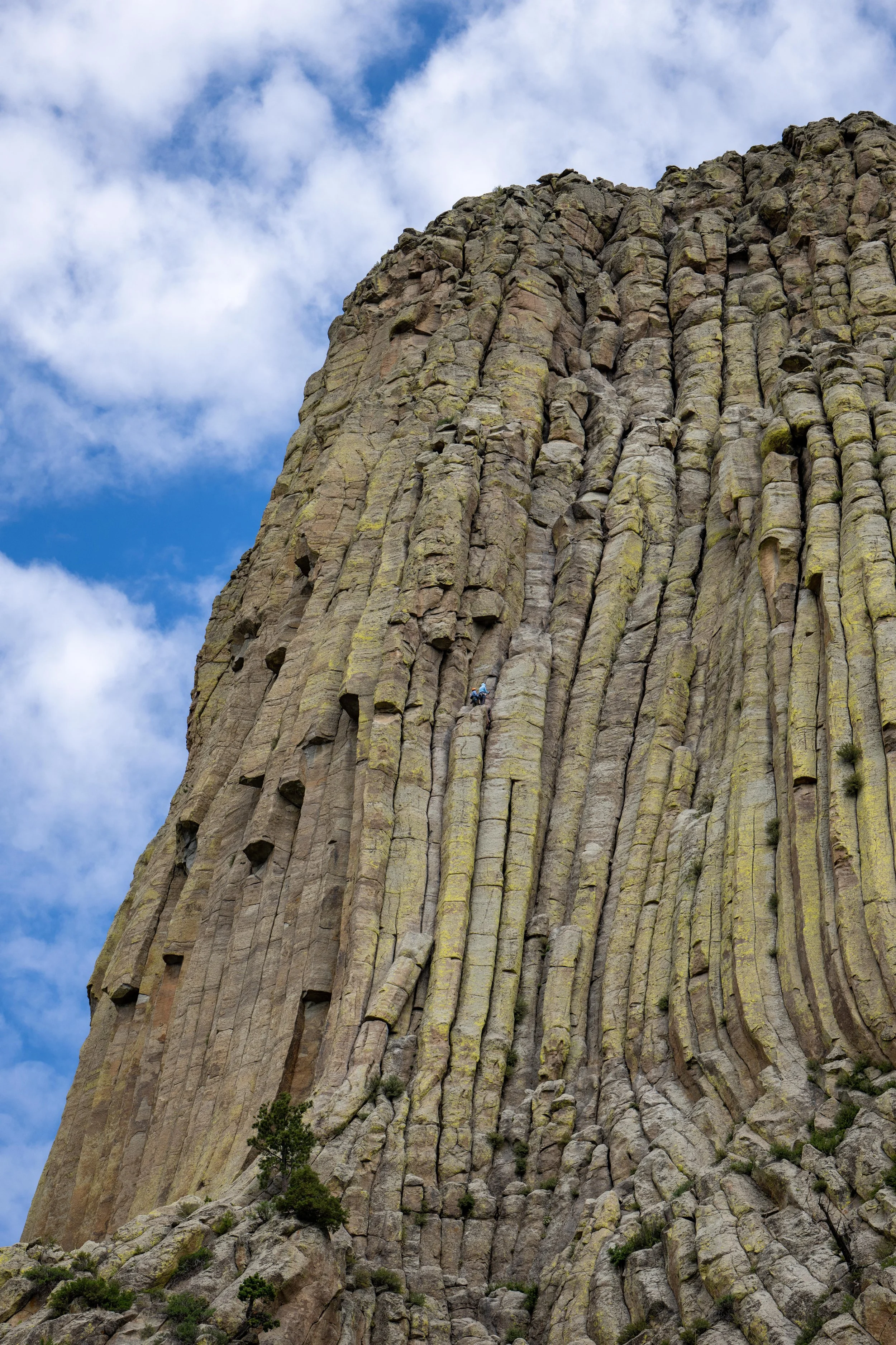 Devil's Tower climbers