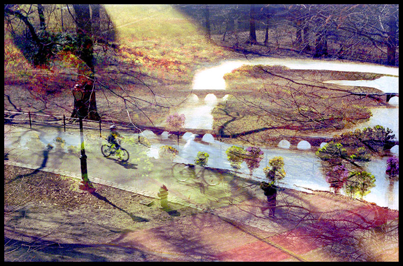 Bicycling in Central Park